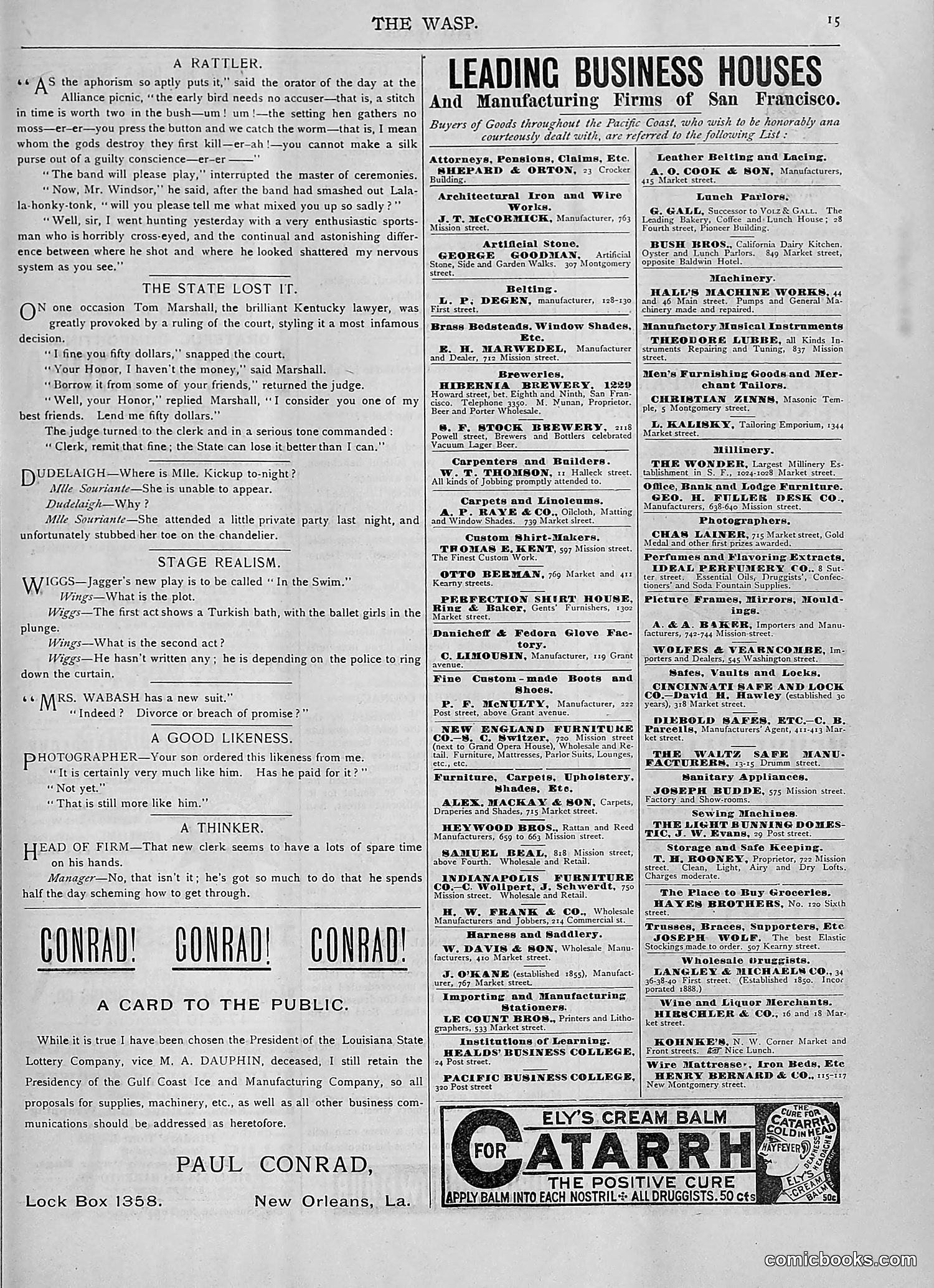 The Wasp — 1893 — page 412 of 514