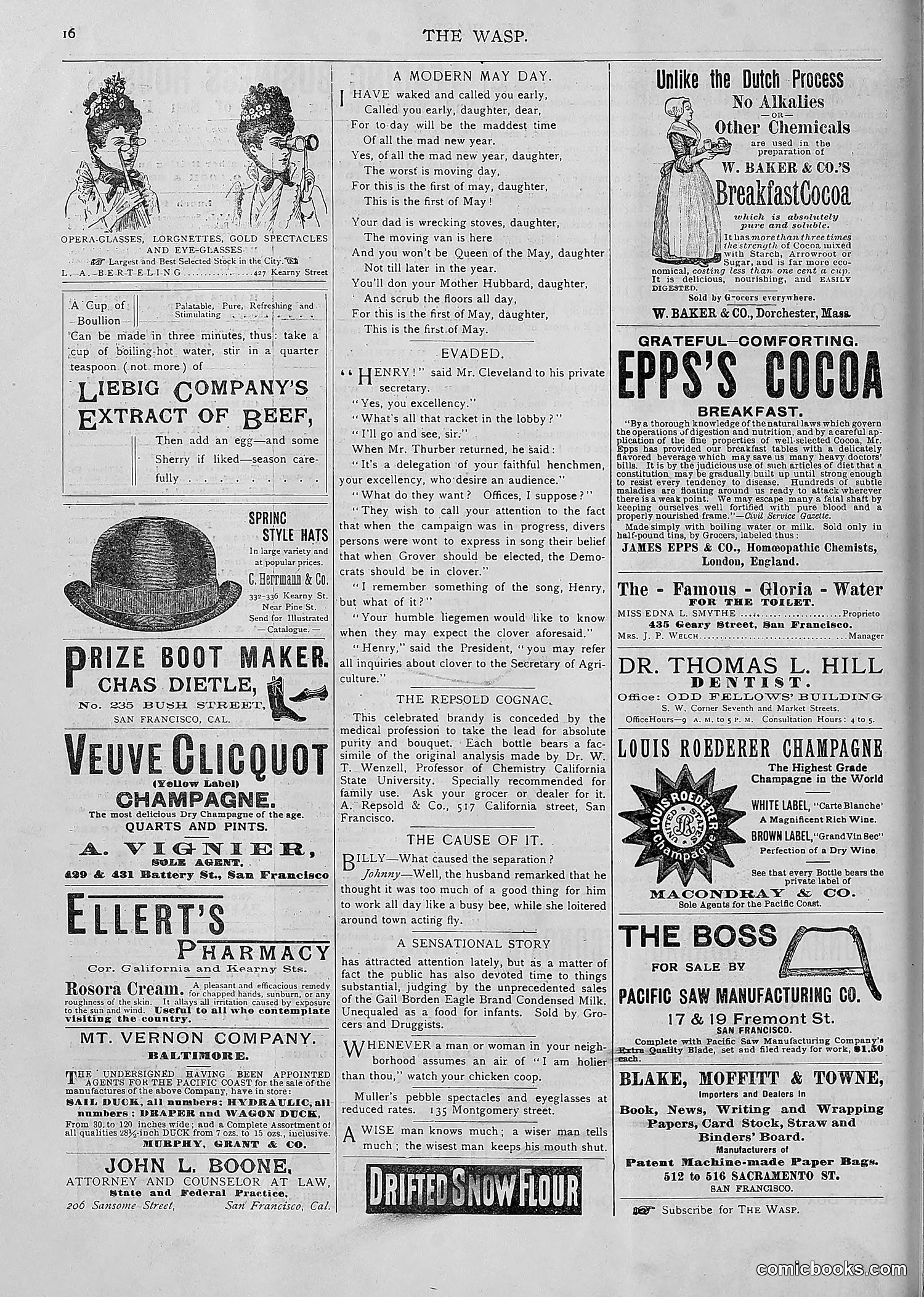 The Wasp — 1893 — page 413 of 514