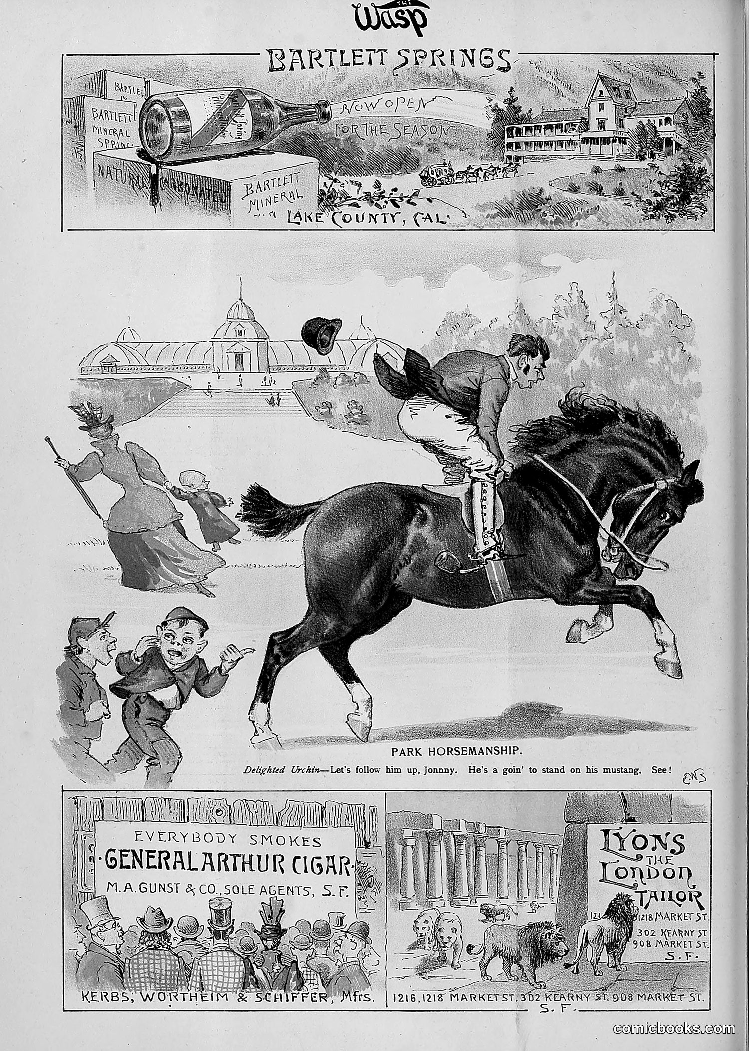 The Wasp — 1893 — page 417 of 514