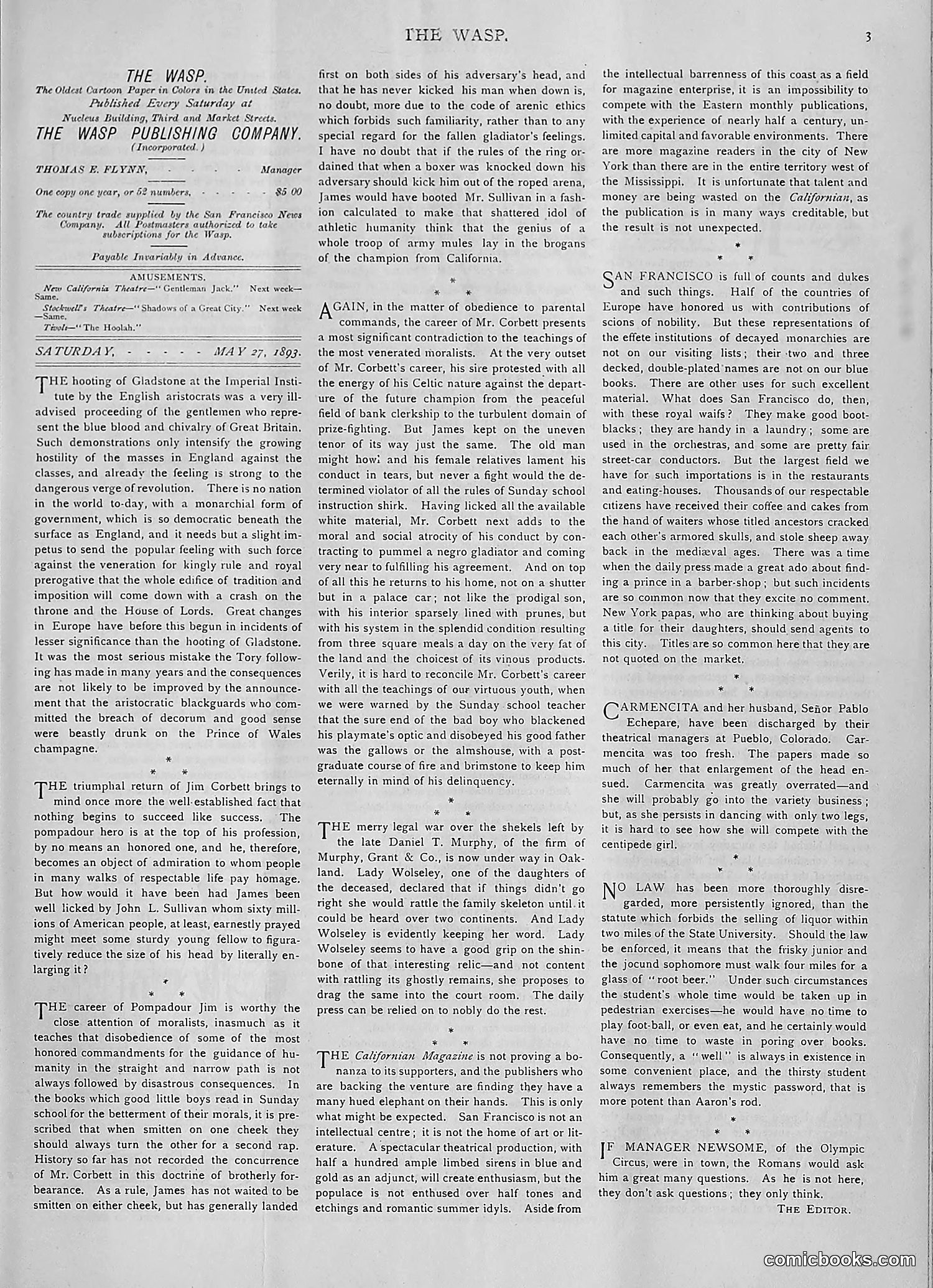The Wasp — 1893 — page 420 of 514