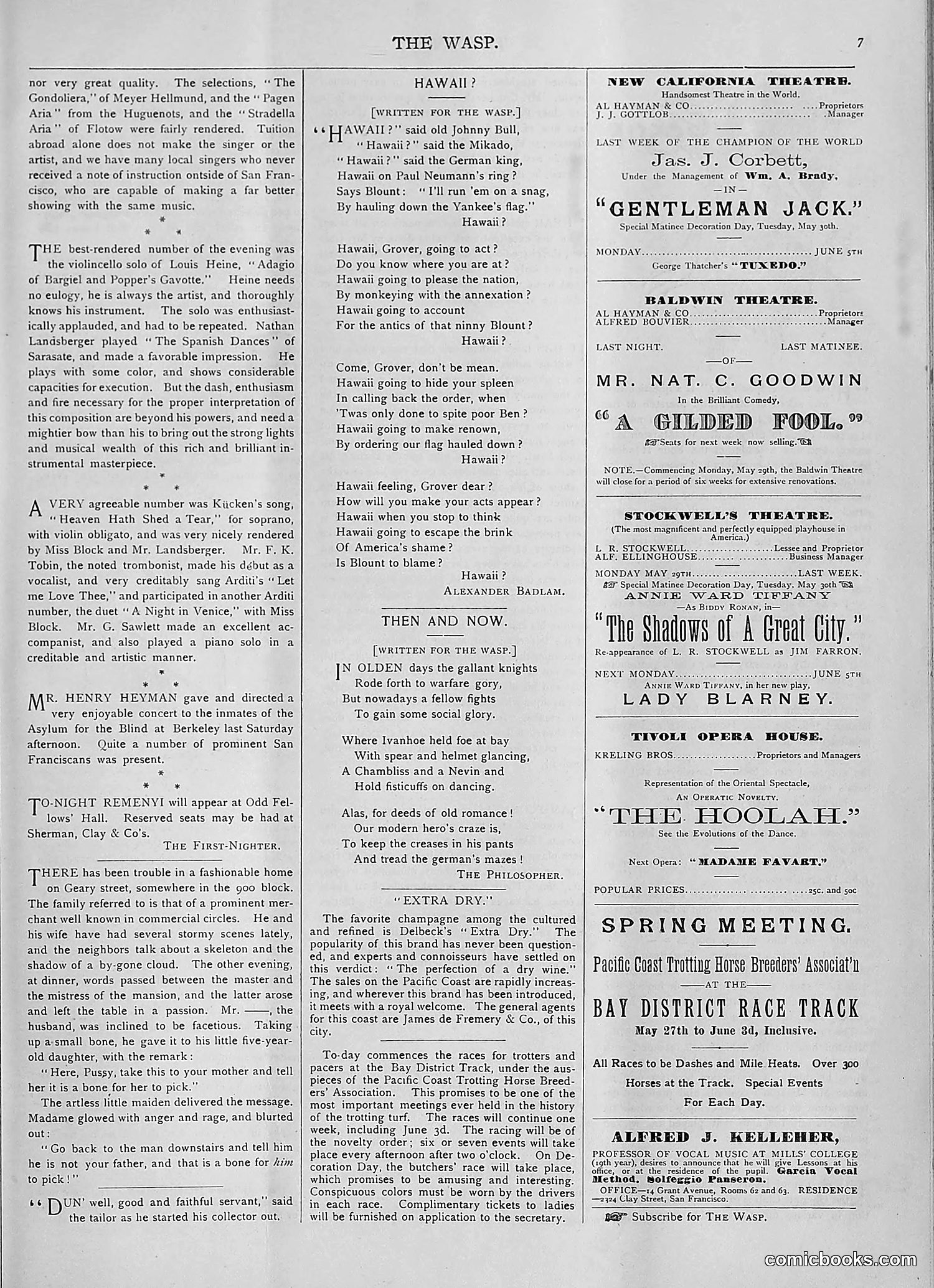 The Wasp — 1893 — page 424 of 514