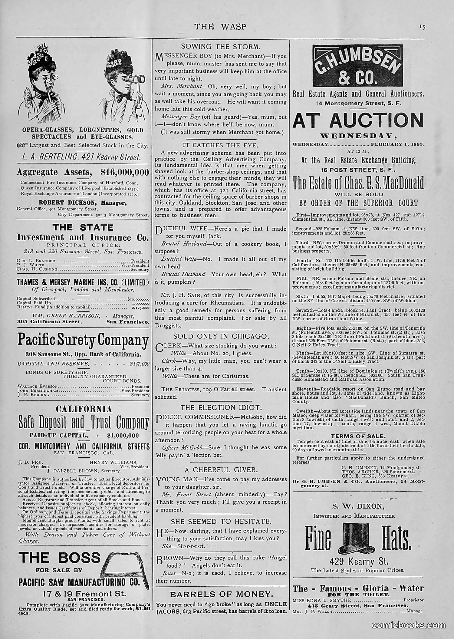 The Wasp — 1893 — page 44 of 514
