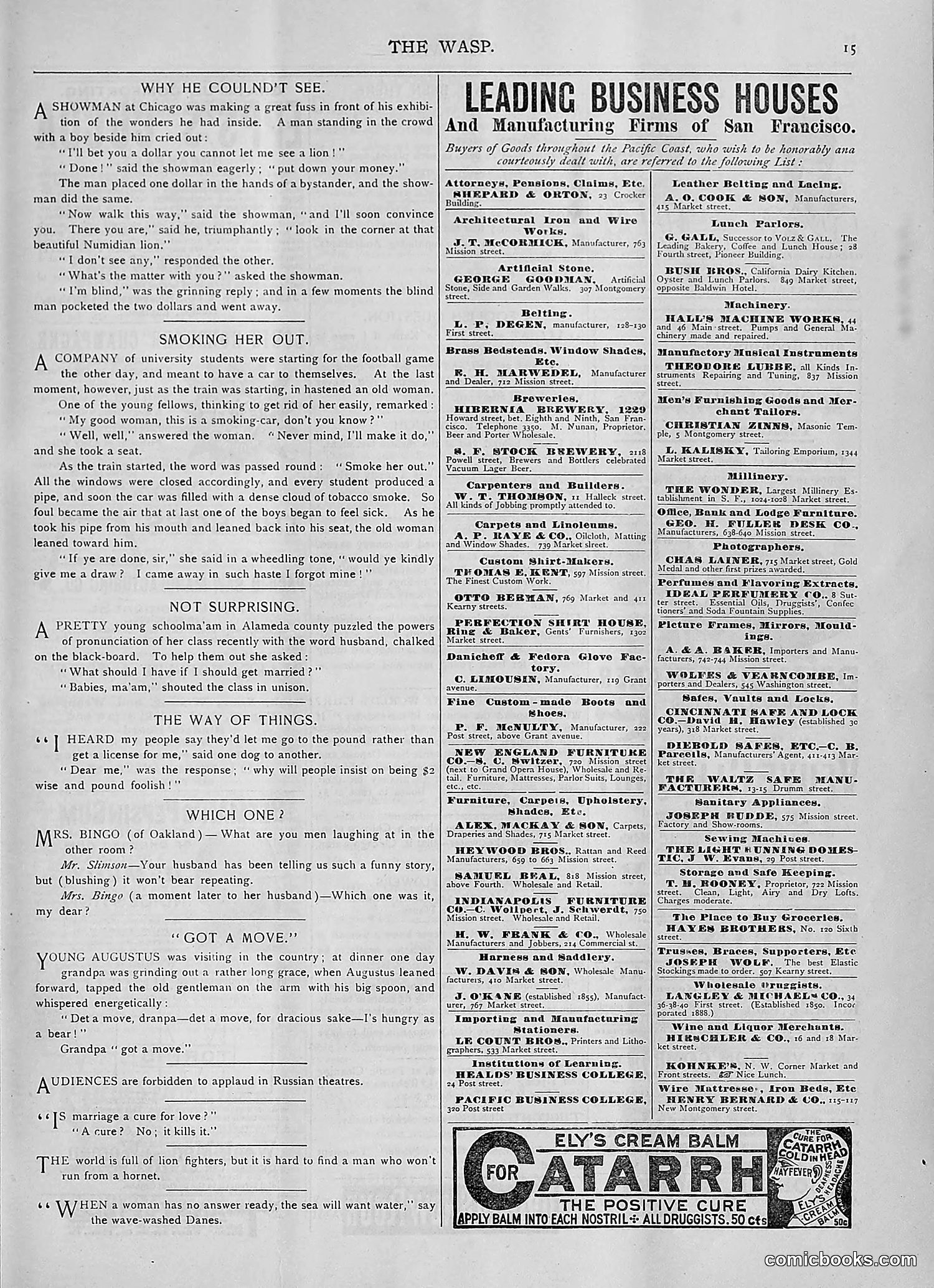 The Wasp — 1893 — page 432 of 514