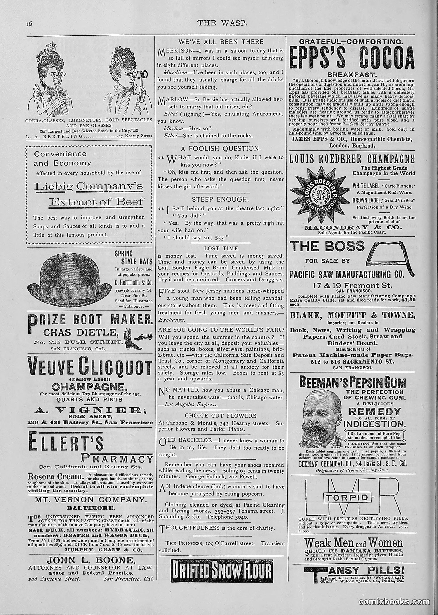 The Wasp — 1893 — page 433 of 514