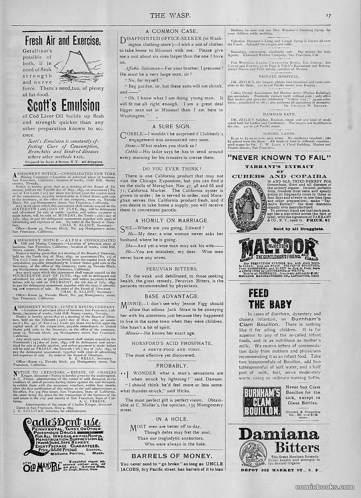 The Wasp — 1893 — page 434 of 514