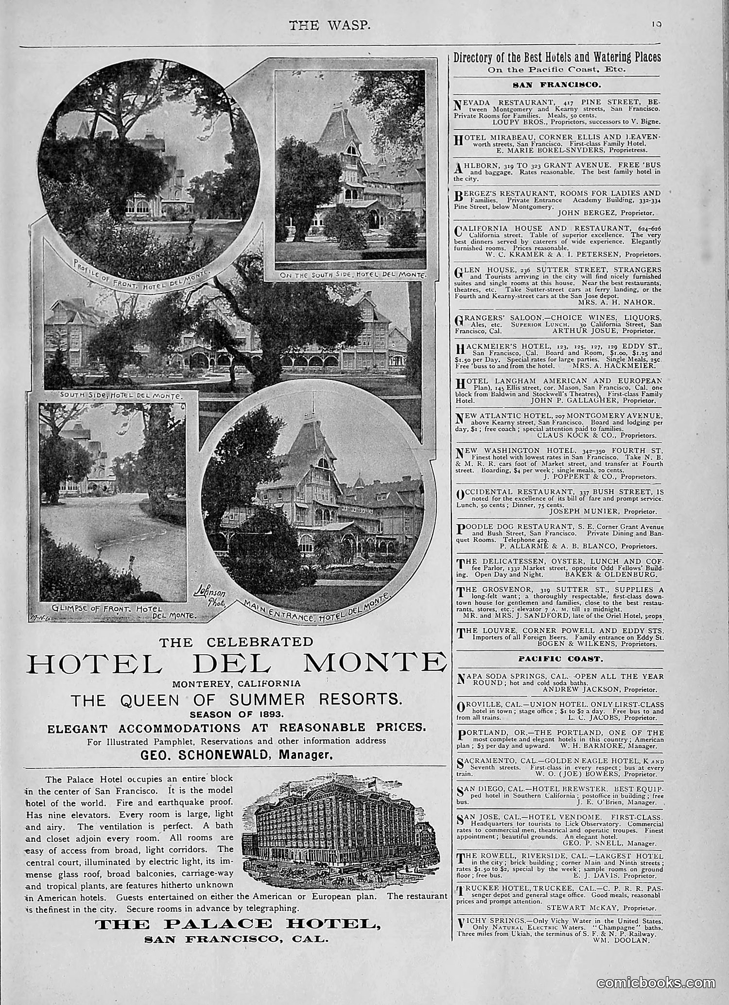 The Wasp — 1893 — page 436 of 514