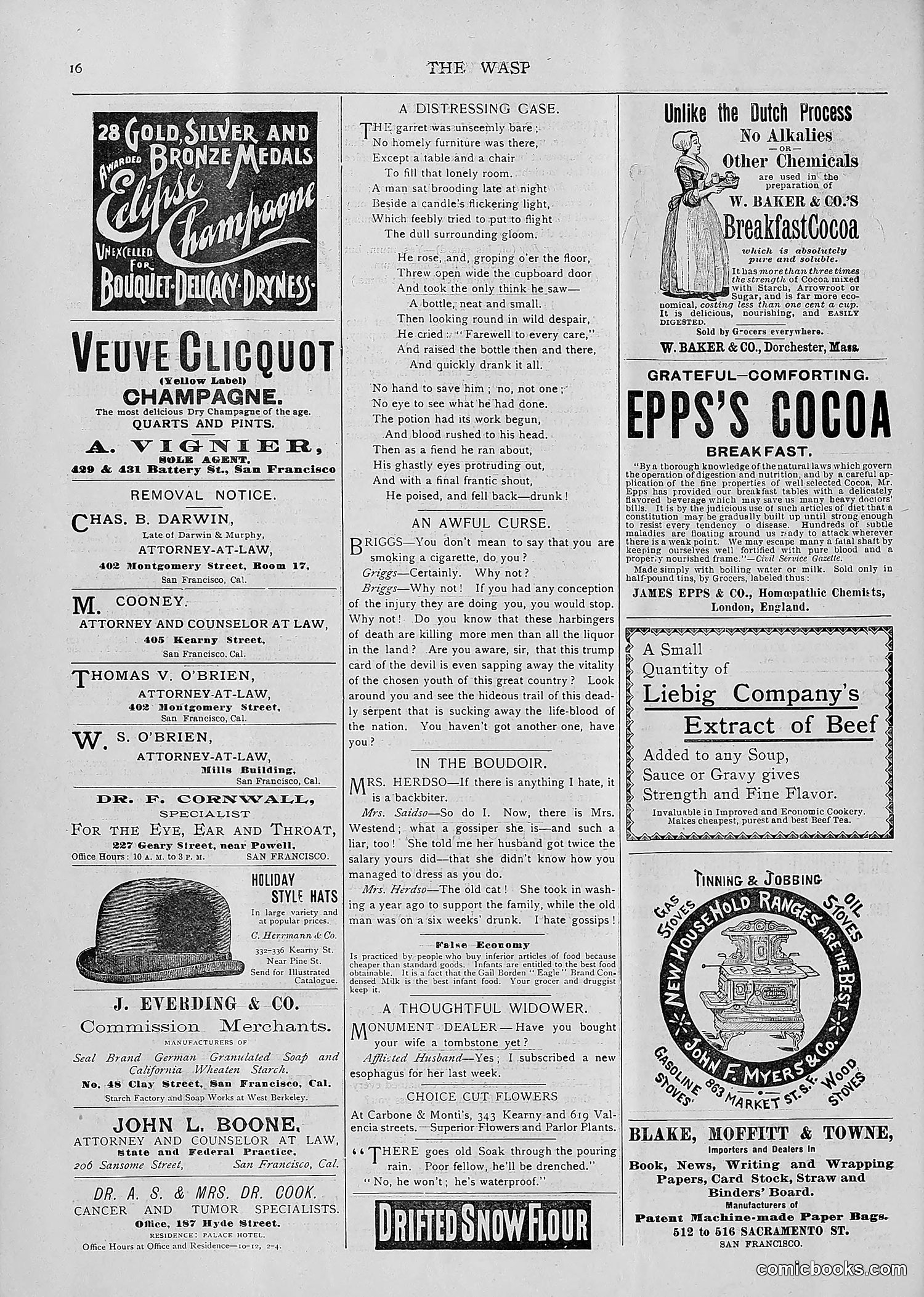 The Wasp — 1893 — page 45 of 514