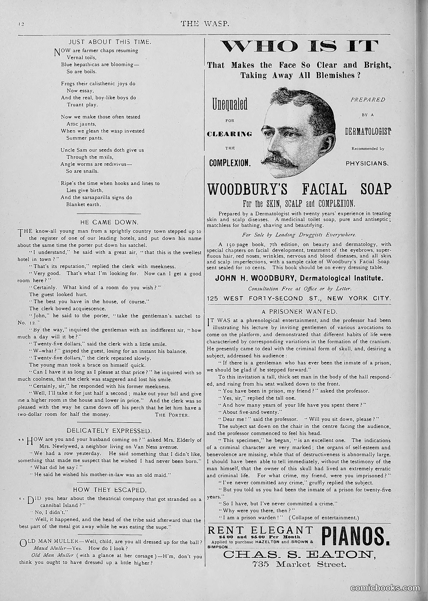 The Wasp — 1893 — page 449 of 514