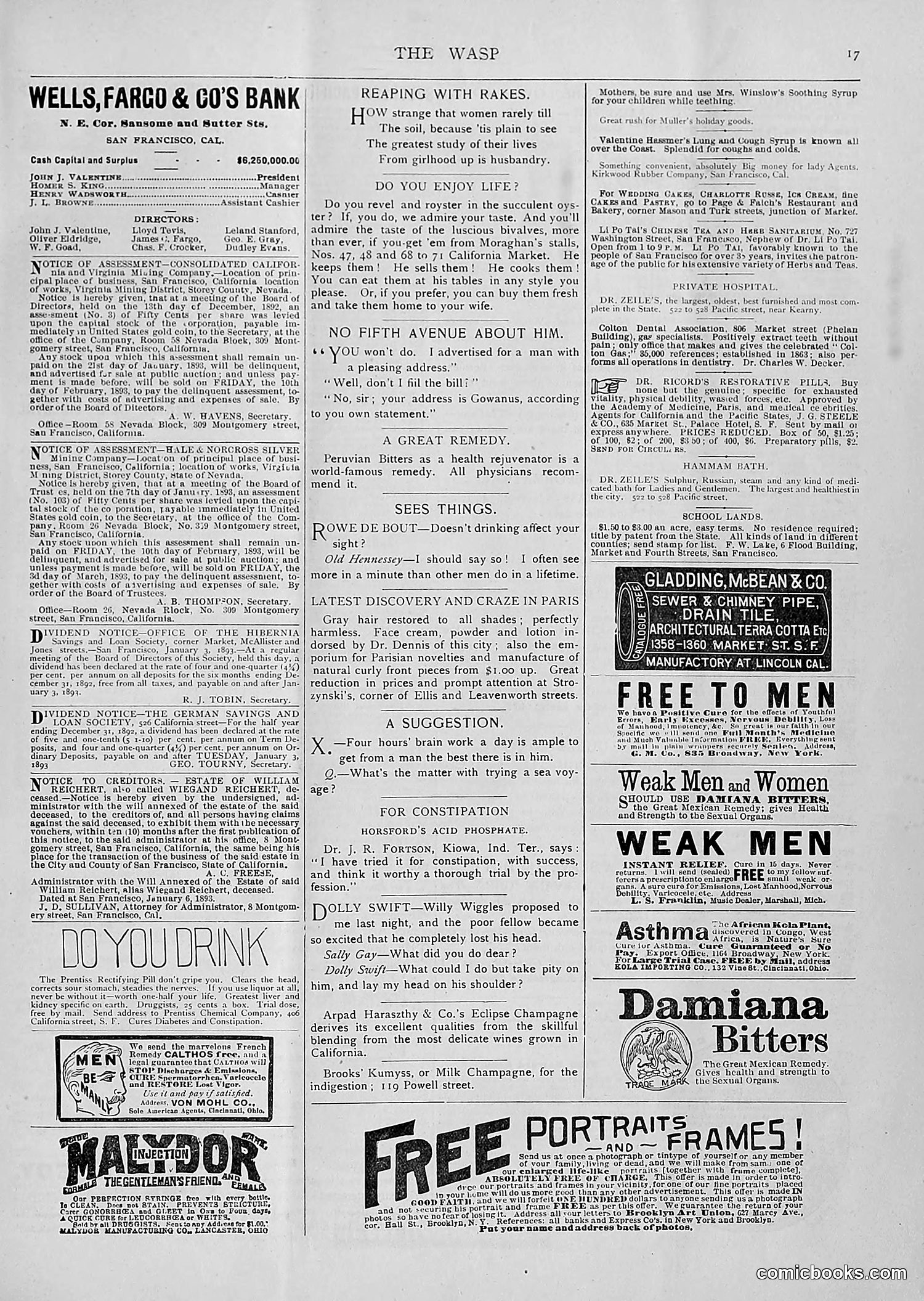 The Wasp — 1893 — page 46 of 514