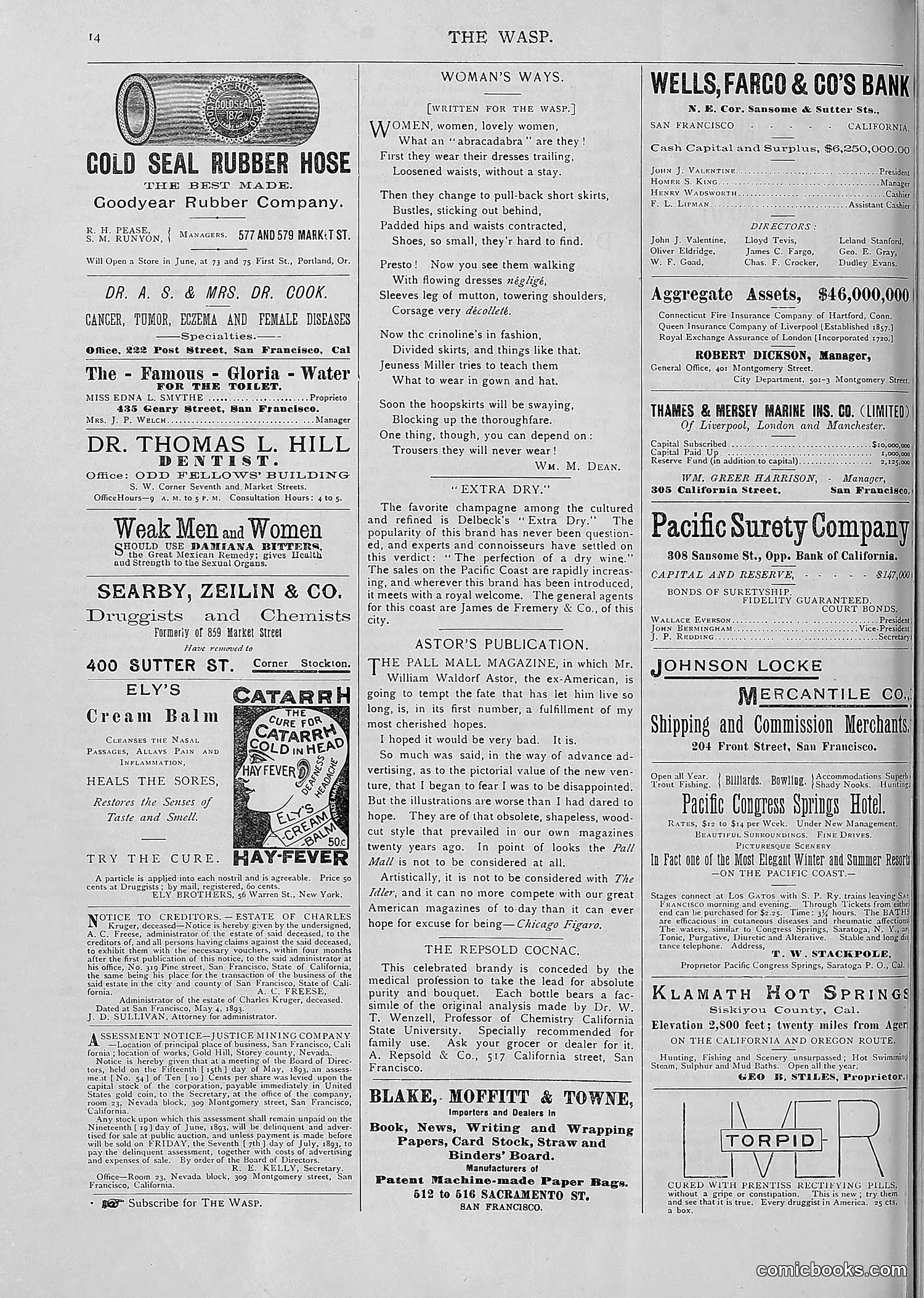 The Wasp — 1893 — page 451 of 514
