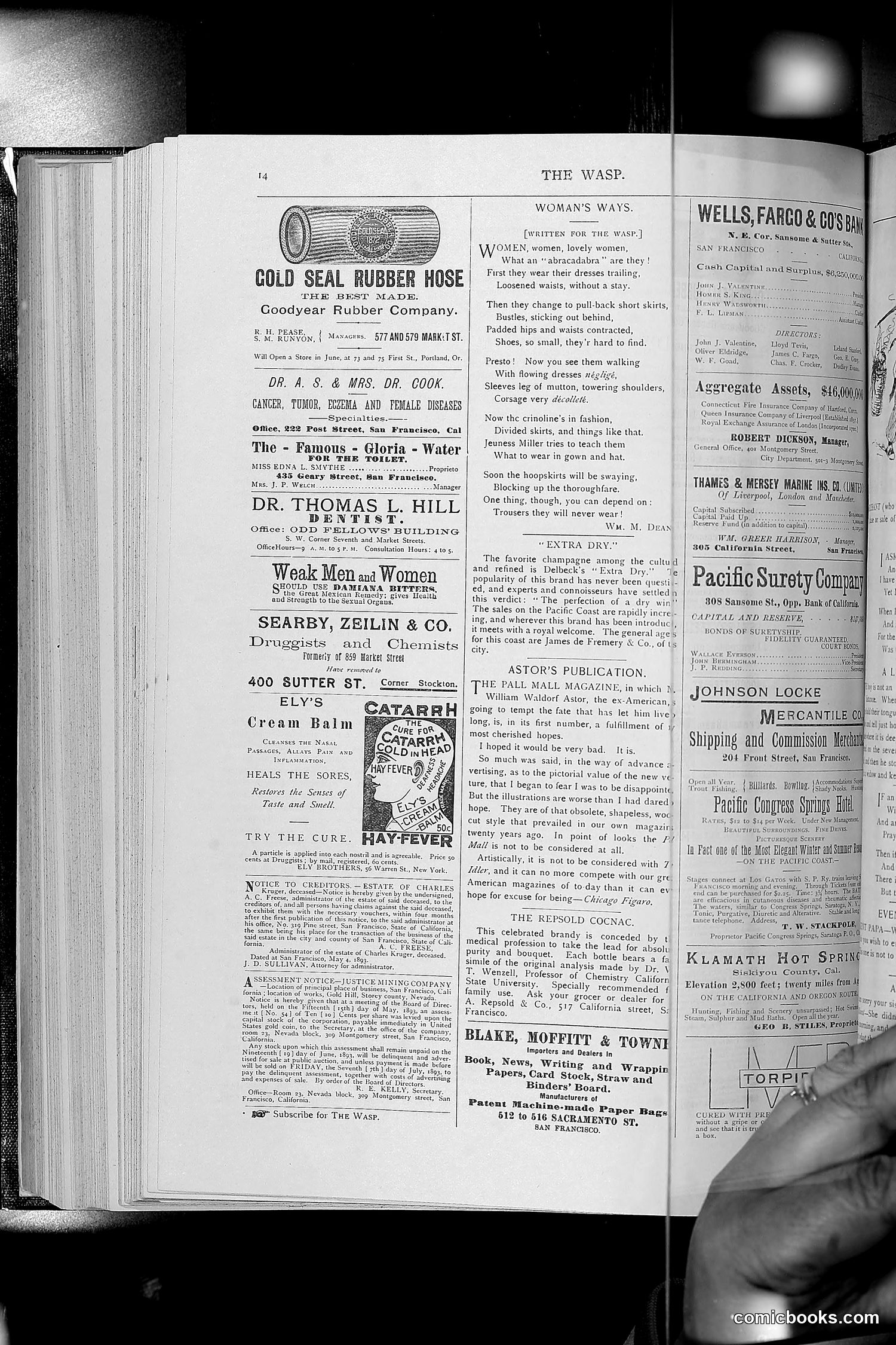 The Wasp — 1893 — page 453 of 514