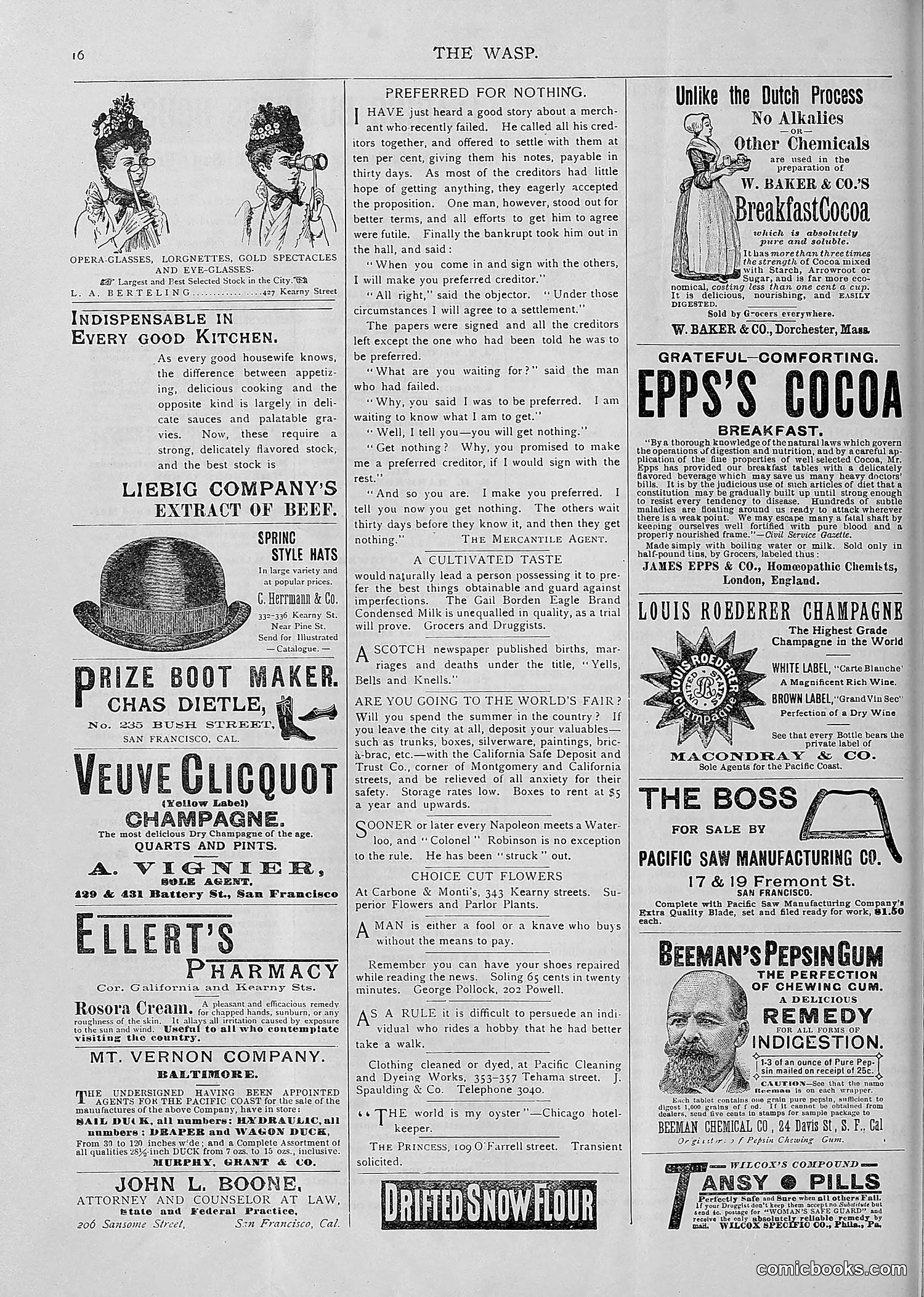 The Wasp — 1893 — page 455 of 514
