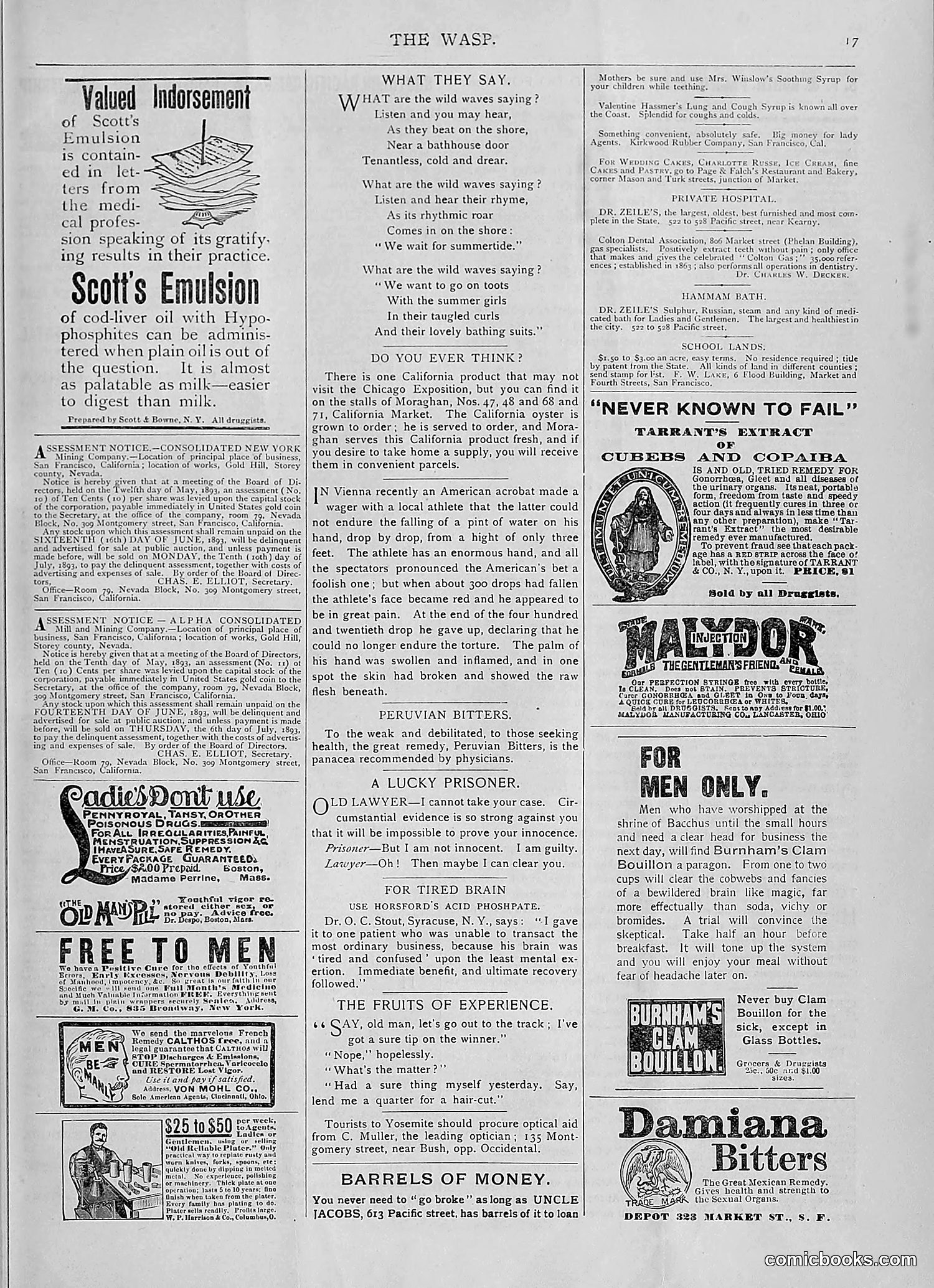 The Wasp — 1893 — page 456 of 514