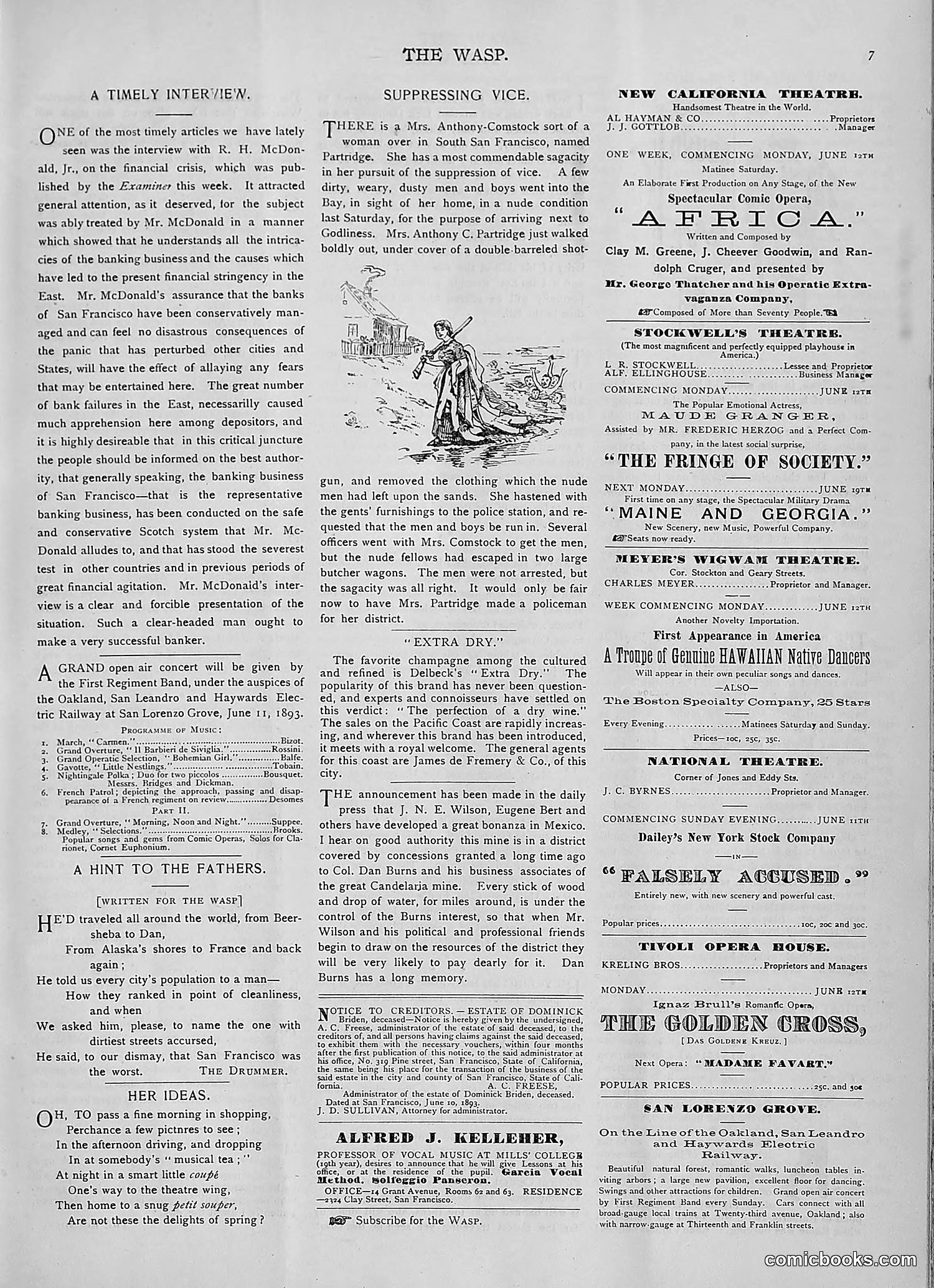The Wasp — 1893 — page 466 of 514