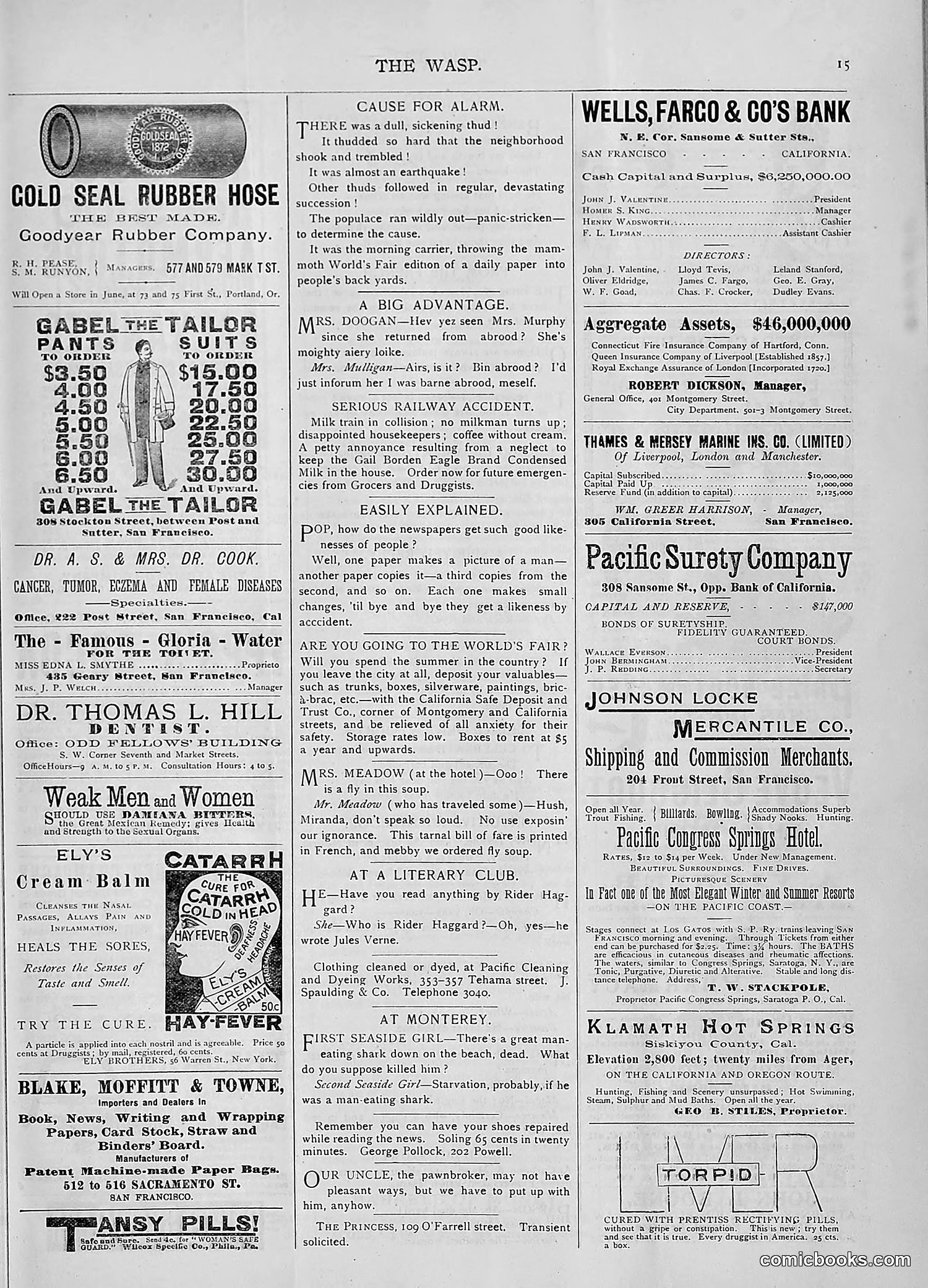 The Wasp — 1893 — page 474 of 514