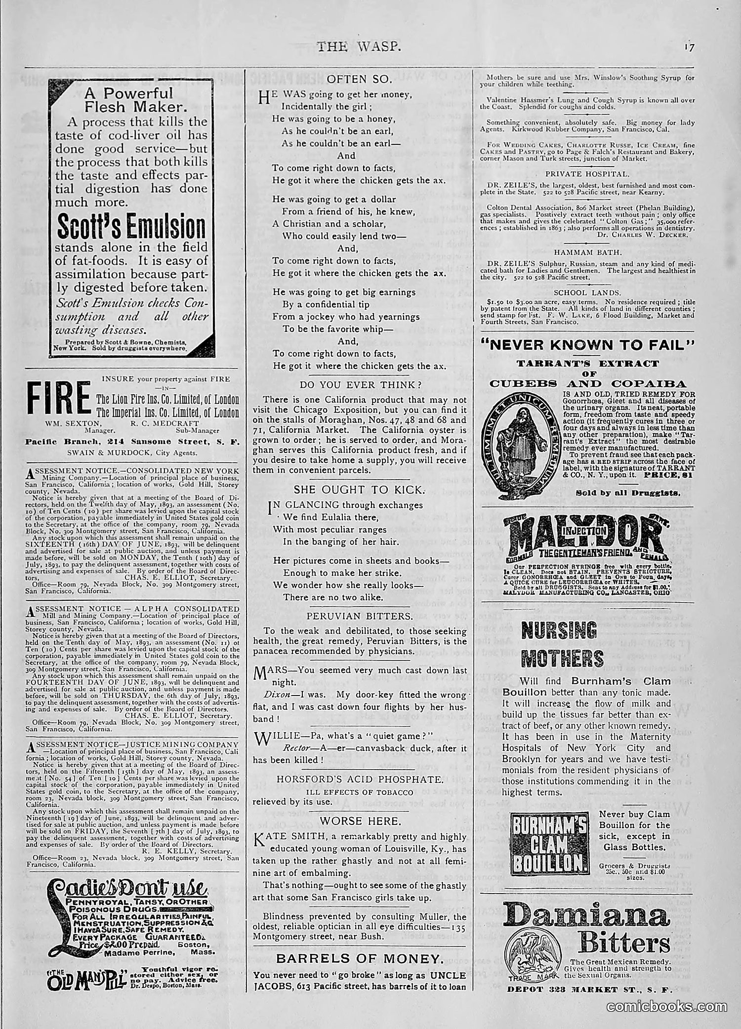 The Wasp — 1893 — page 476 of 514