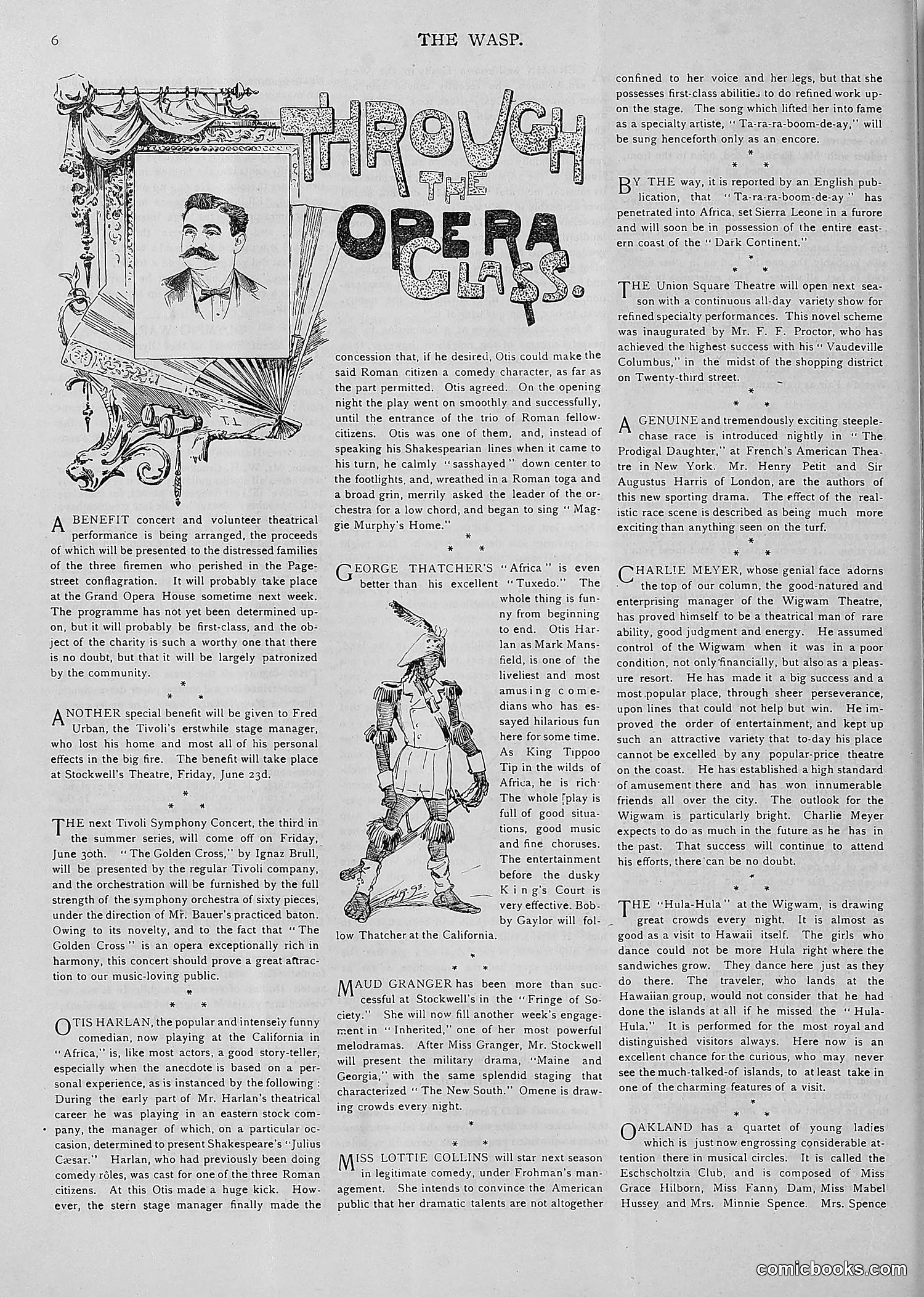 The Wasp — 1893 — page 485 of 514