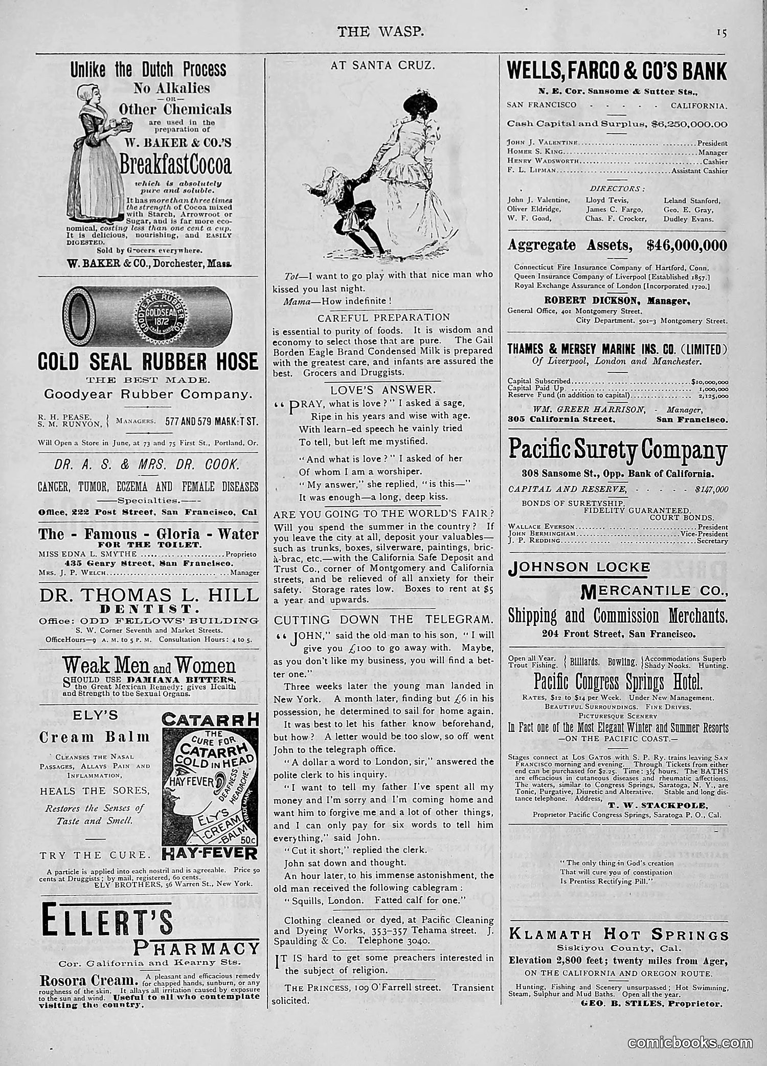 The Wasp — 1893 — page 494 of 514