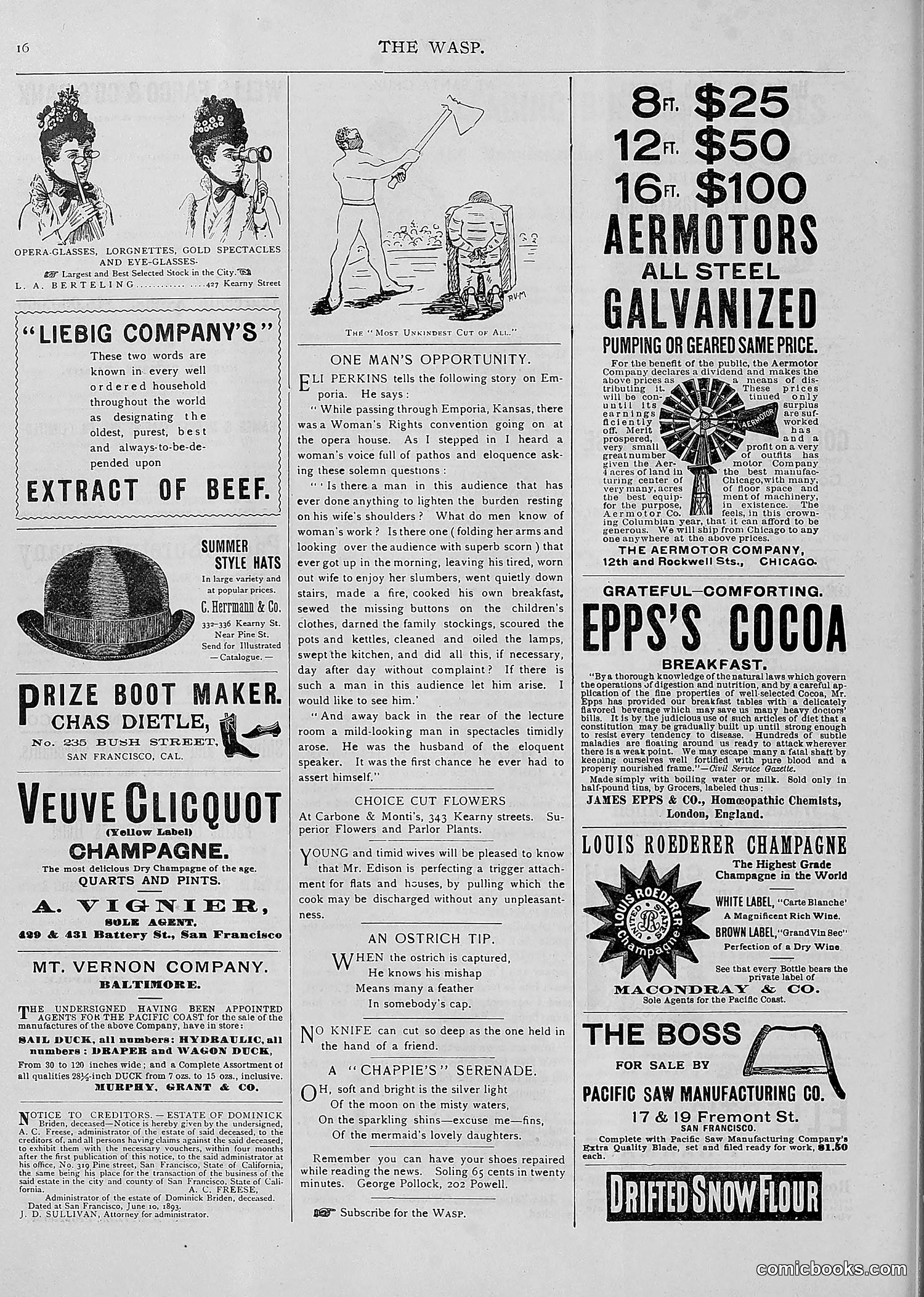 The Wasp — 1893 — page 495 of 514