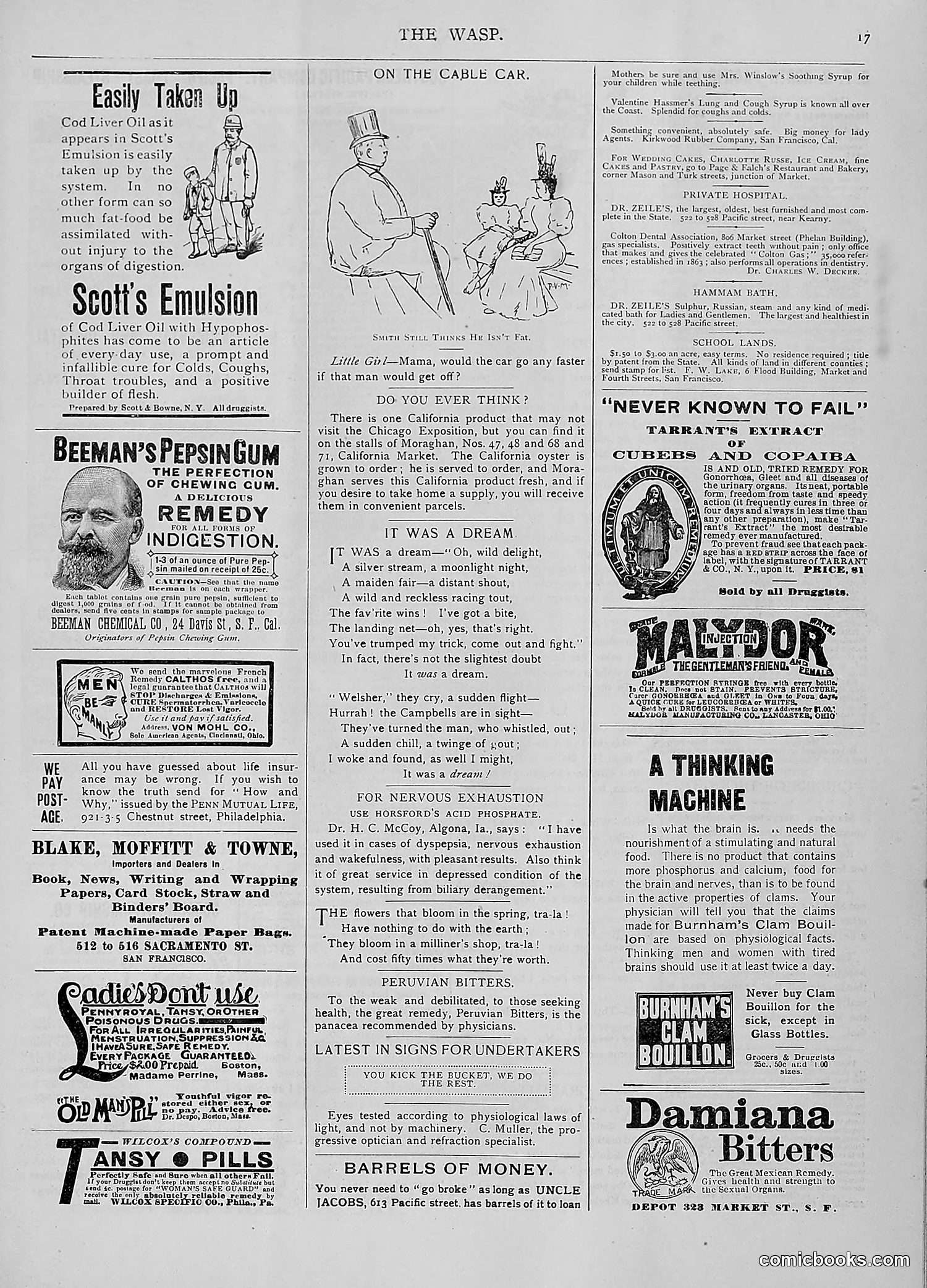 The Wasp — 1893 — page 496 of 514