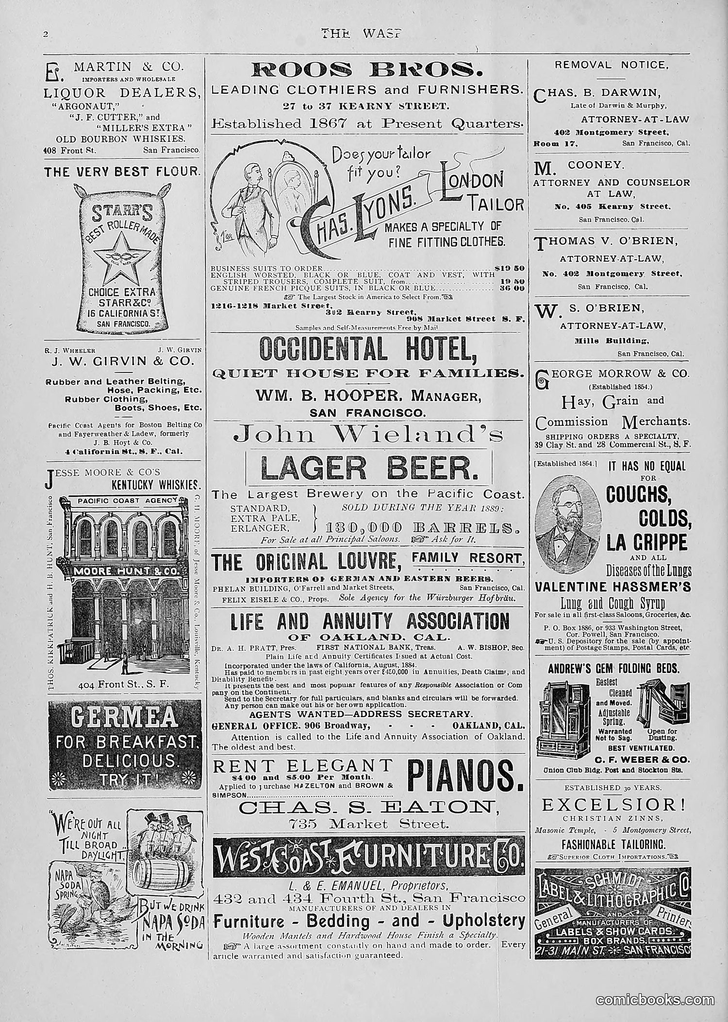 The Wasp — 1893 — page 51 of 514