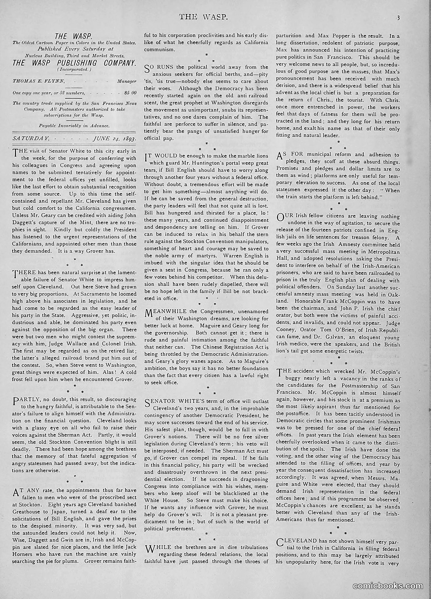 The Wasp — 1893 — page 504 of 514