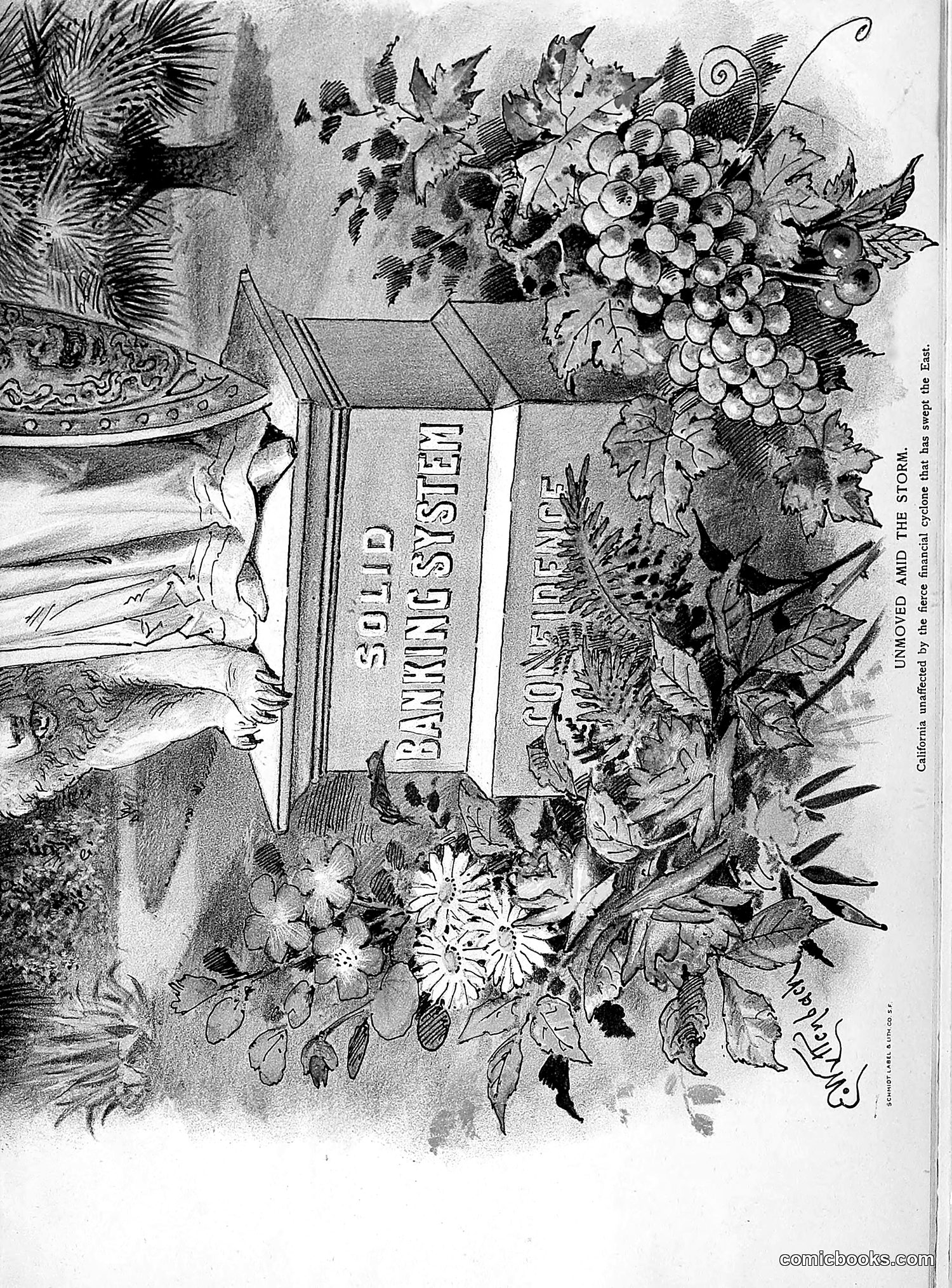 The Wasp — 1893 — page 512 of 514