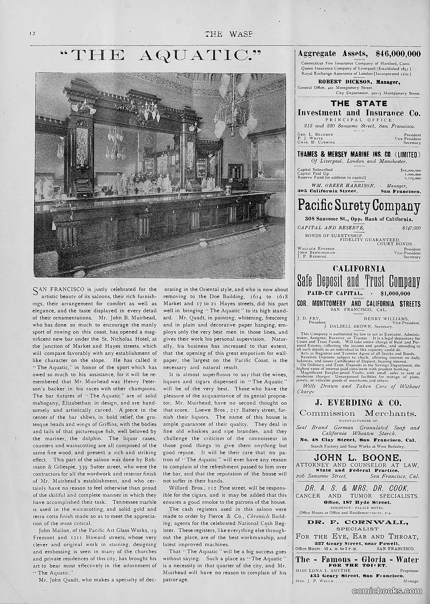 The Wasp — 1893 — page 61 of 514