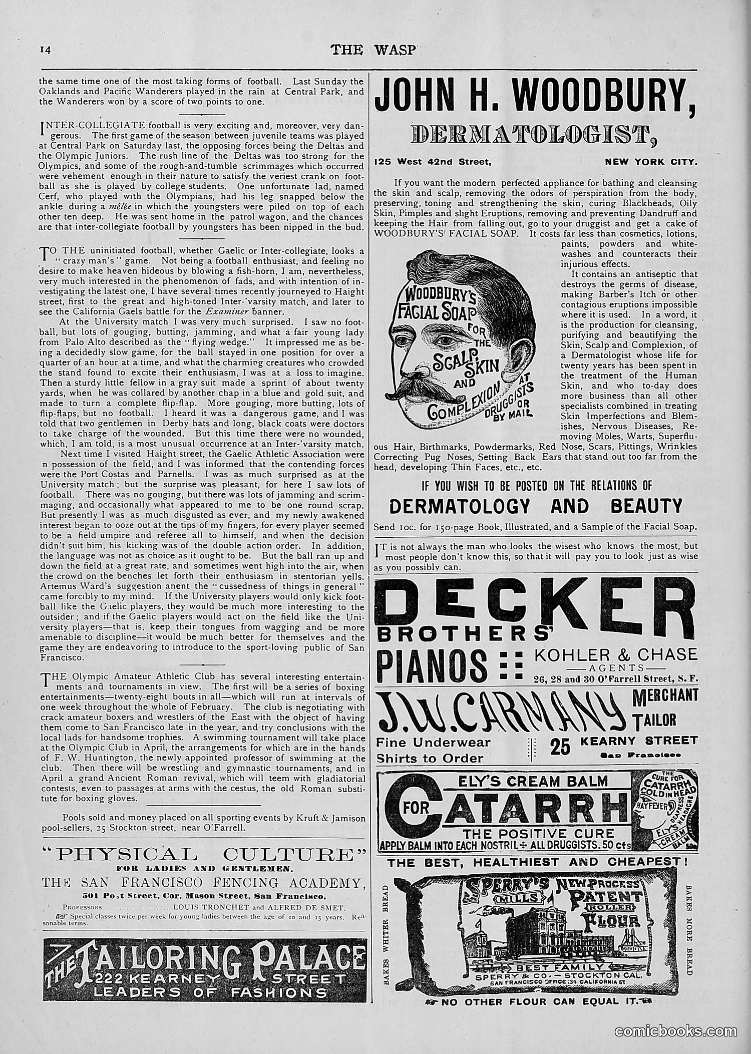 The Wasp — 1893 — page 63 of 514