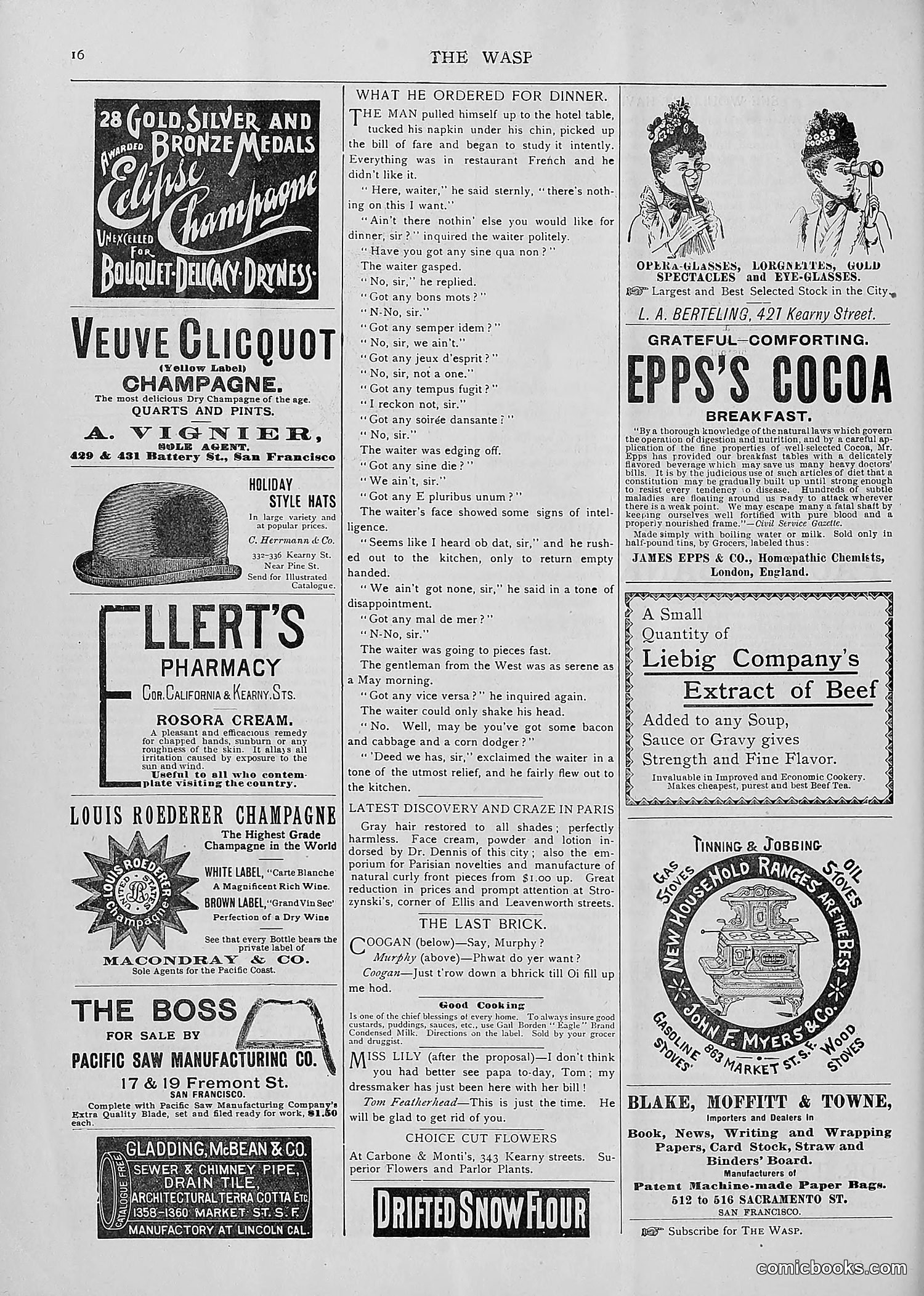 The Wasp — 1893 — page 65 of 514