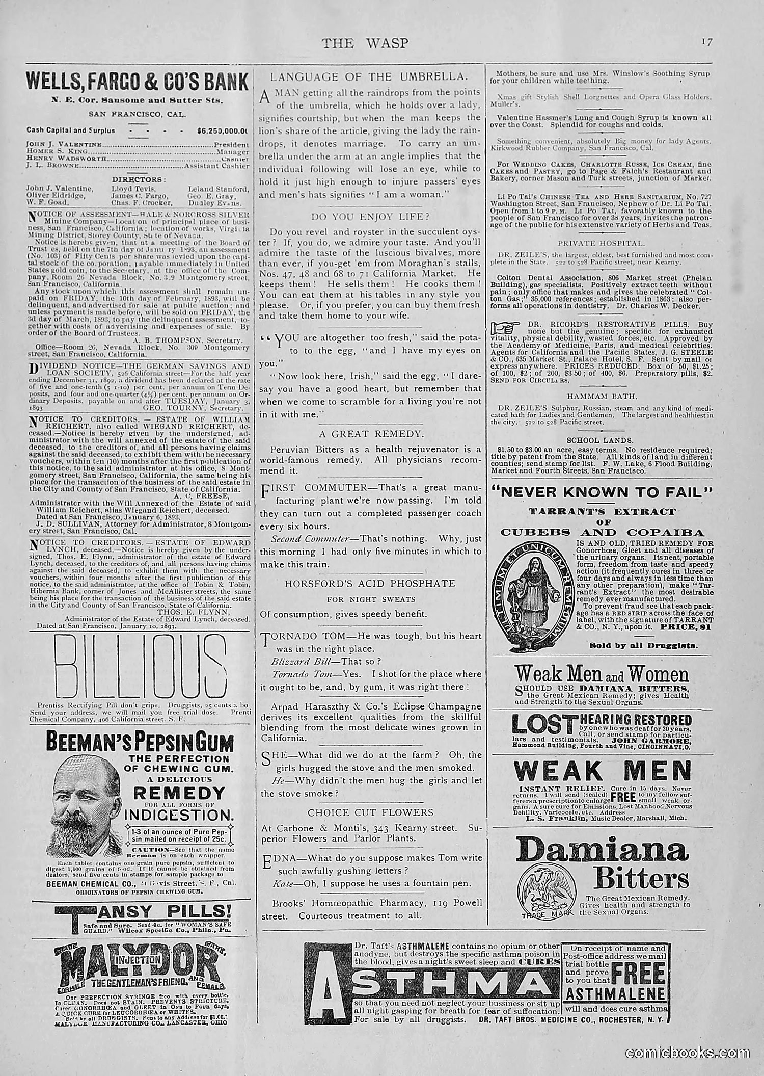 The Wasp — 1893 — page 66 of 514