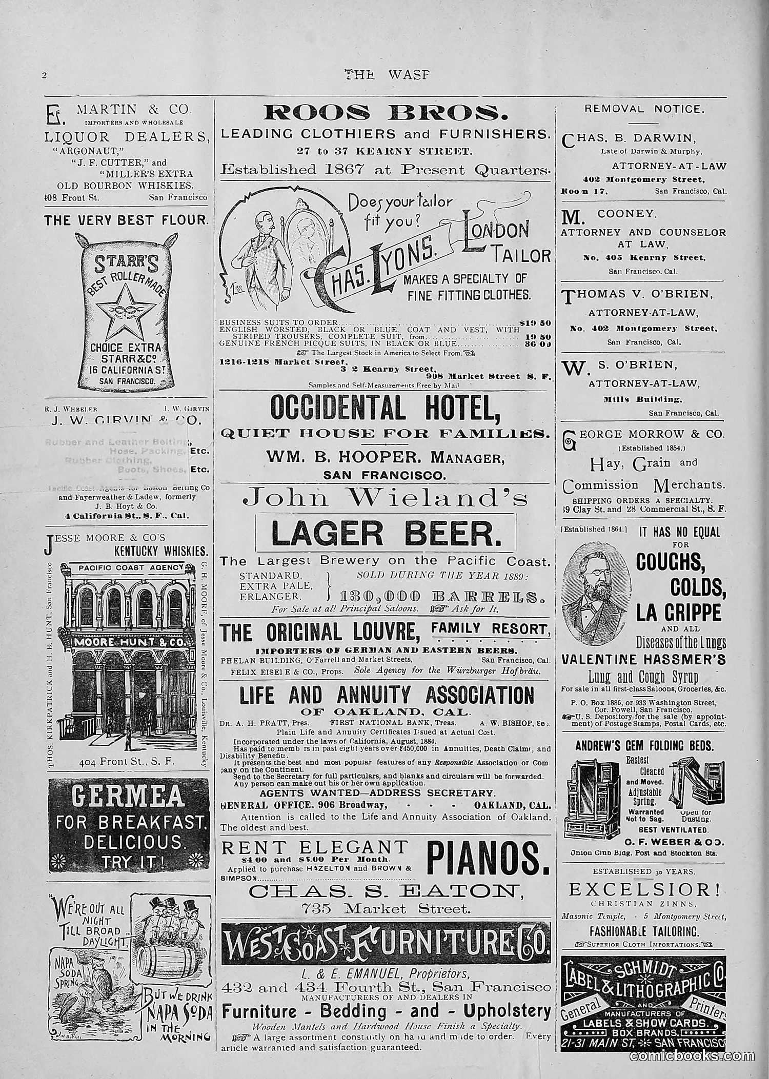 The Wasp — 1893 — page 71 of 514
