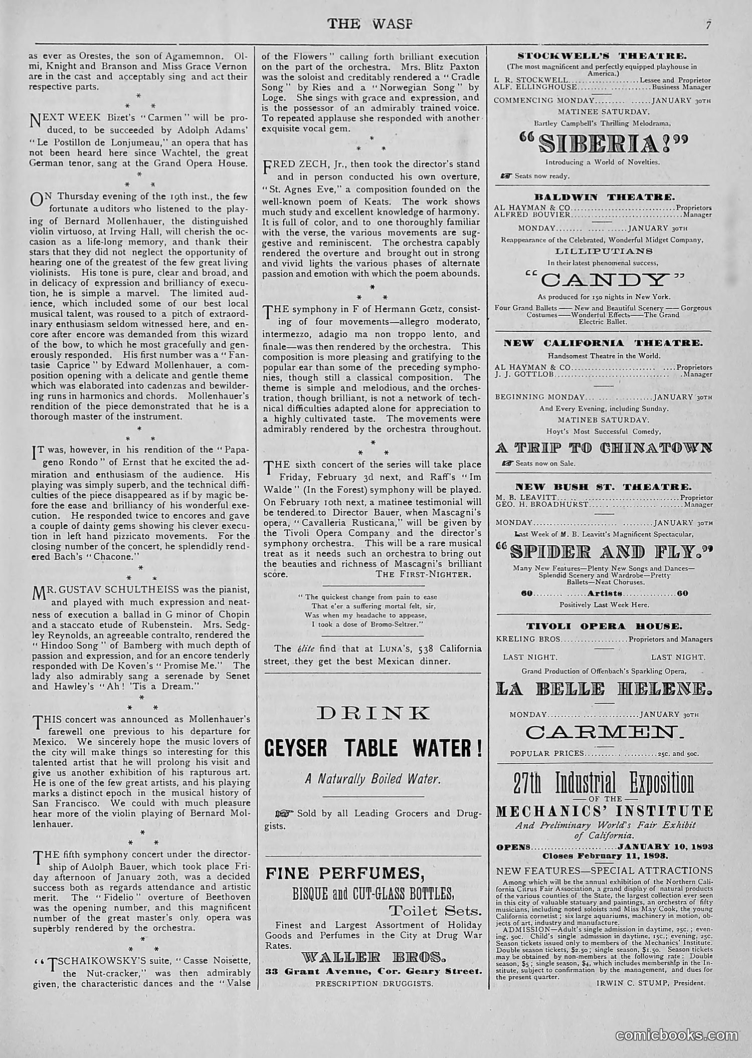 The Wasp — 1893 — page 76 of 514