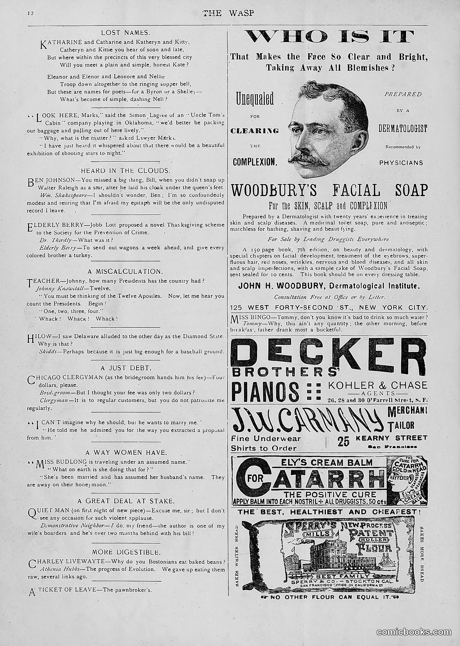 The Wasp — 1893 — page 81 of 514