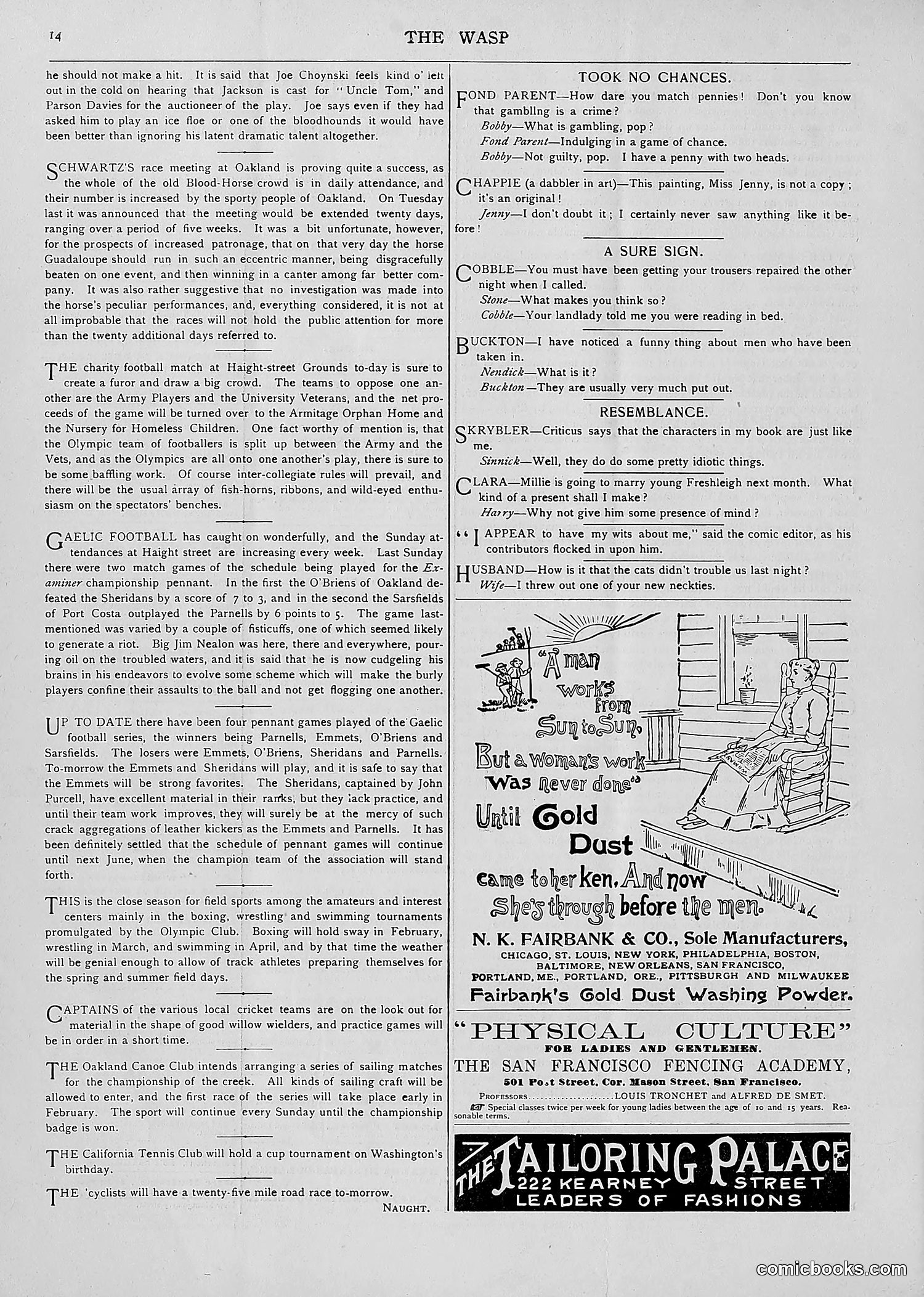The Wasp — 1893 — page 83 of 514
