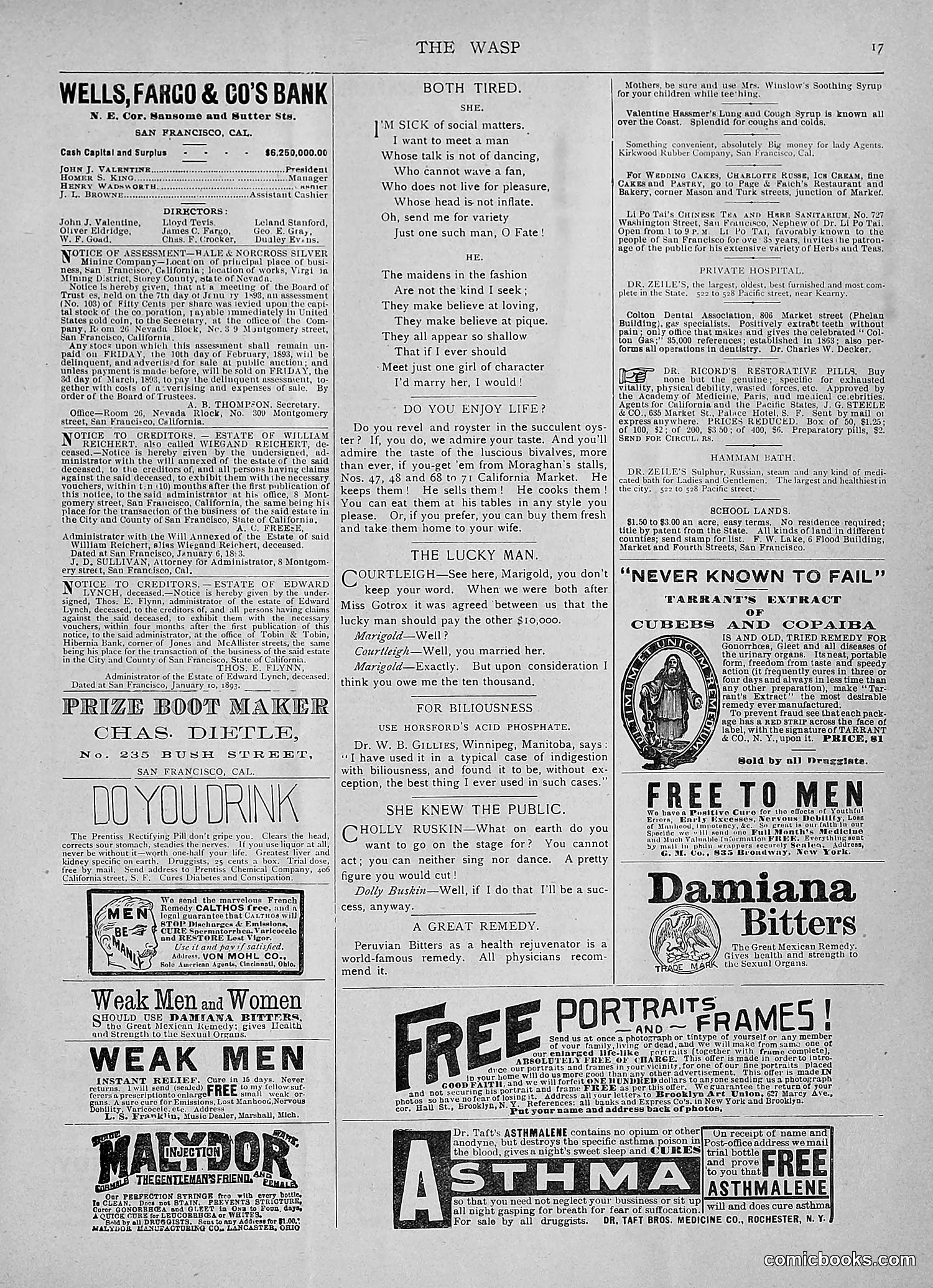 The Wasp — 1893 — page 86 of 514
