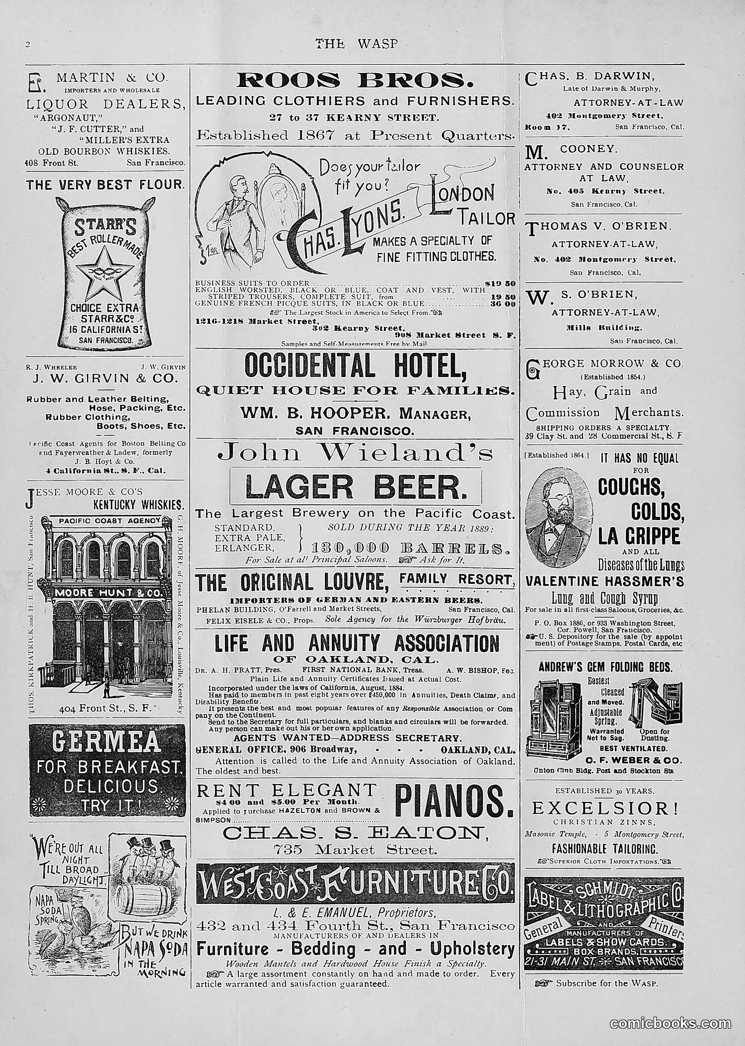 The Wasp — 1893 — page 91 of 514