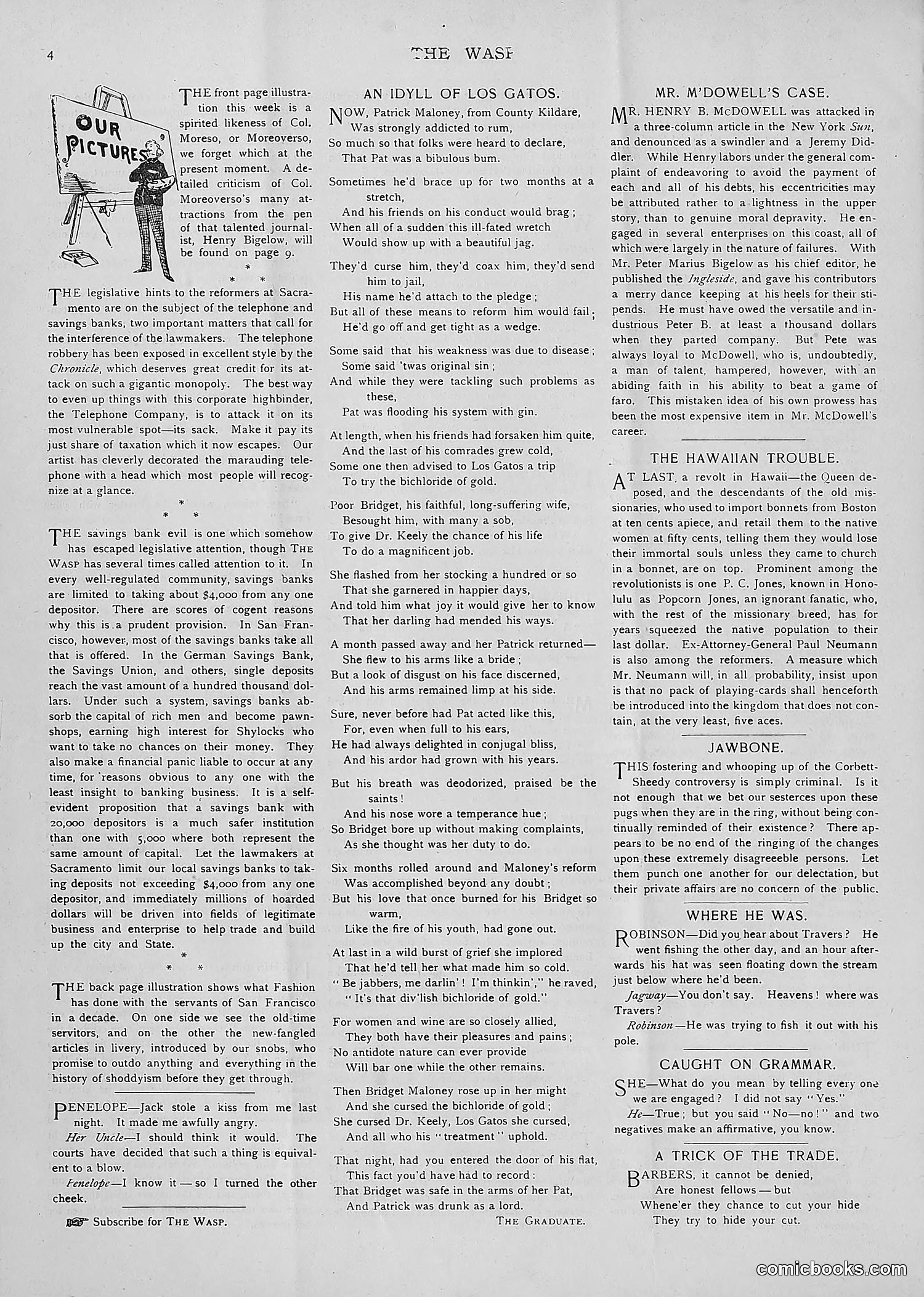 The Wasp — 1893 — page 93 of 514