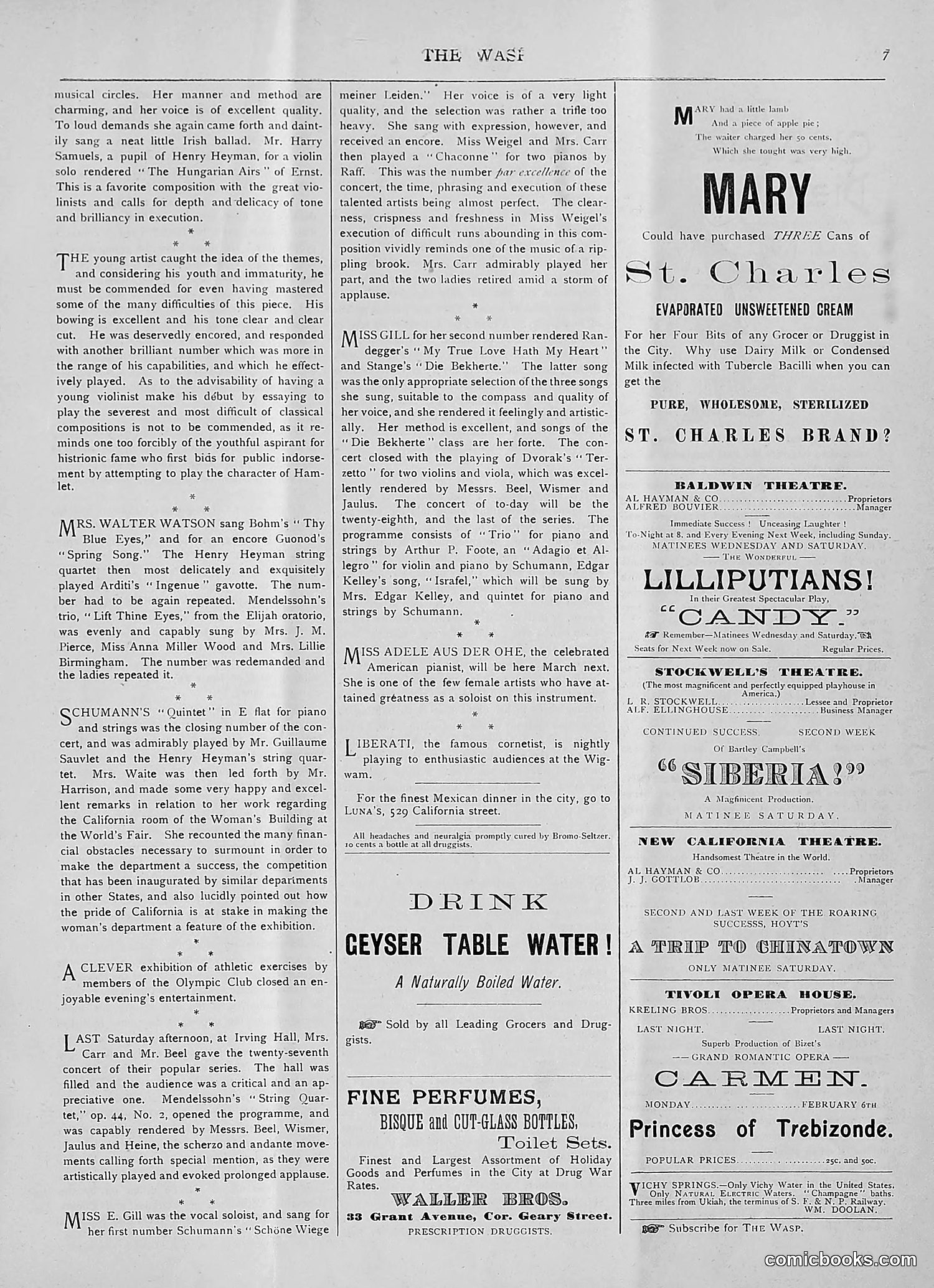 The Wasp — 1893 — page 96 of 514