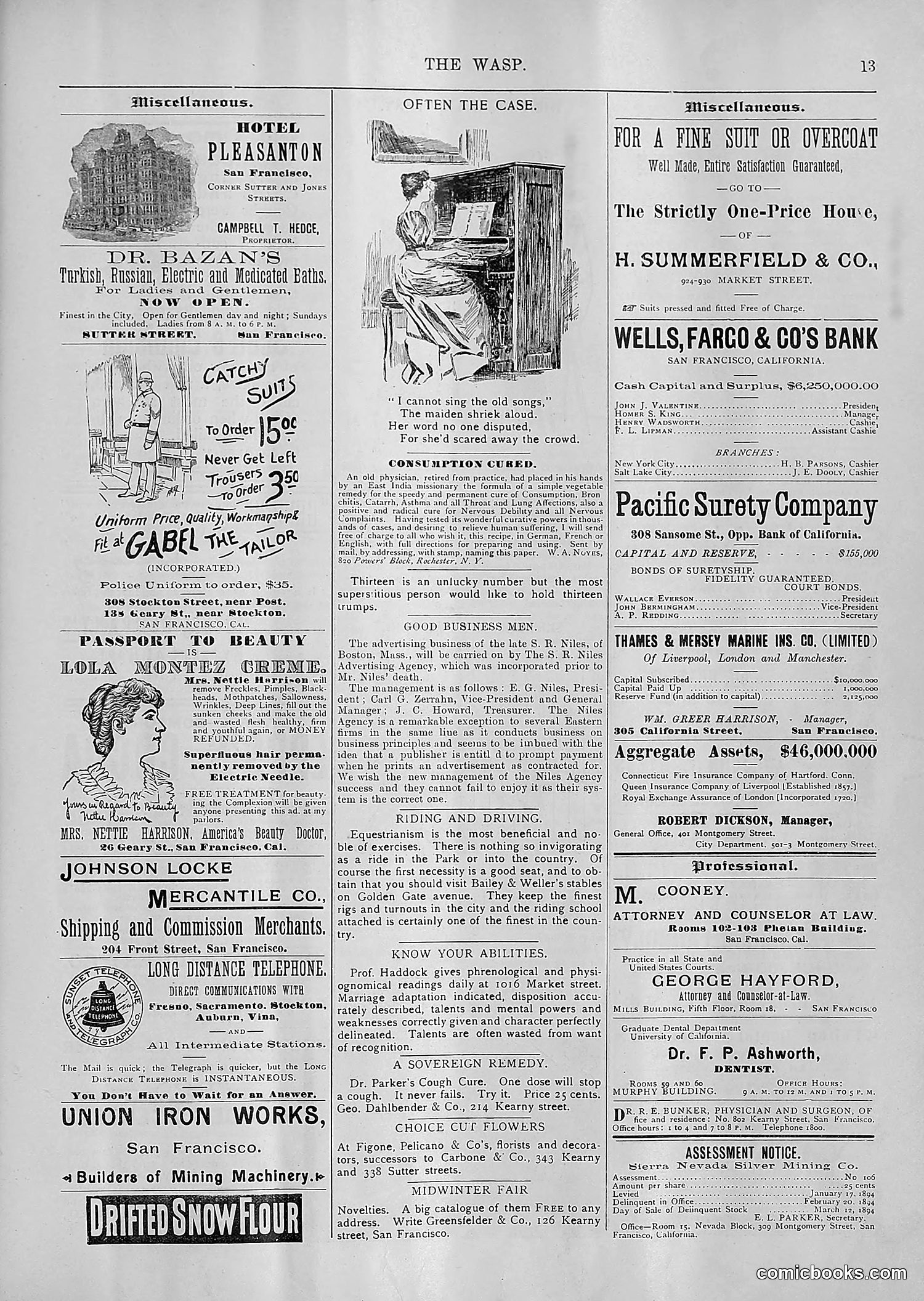 The Wasp — 1894 — page 104 of 552