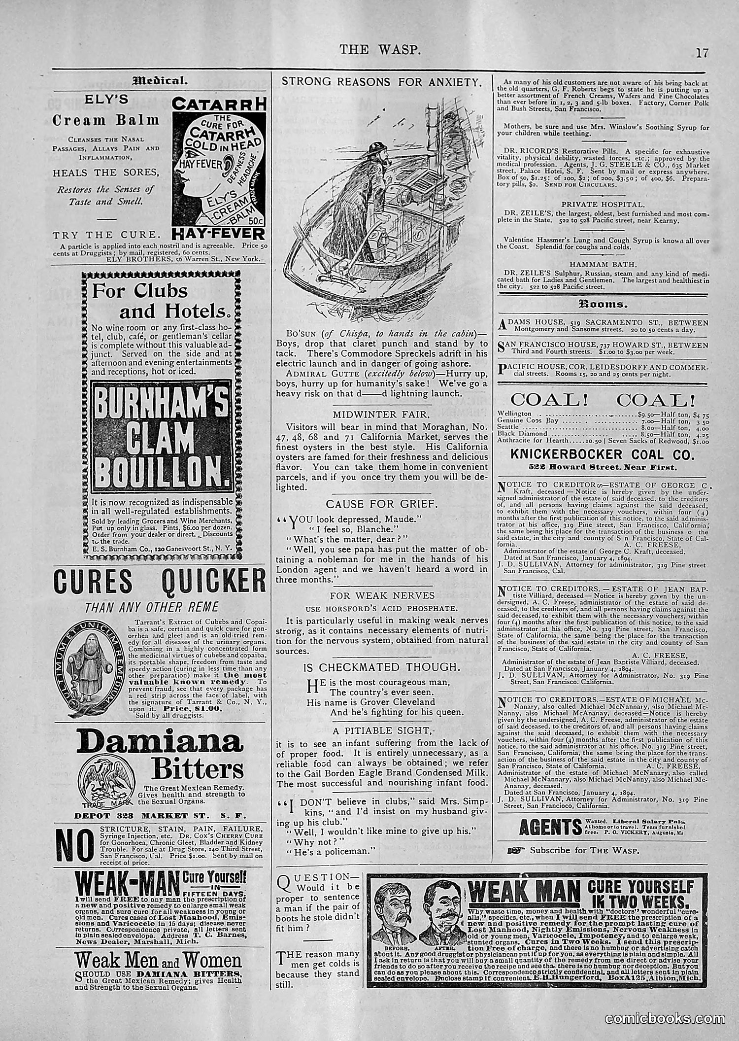 The Wasp — 1894 — page 108 of 552