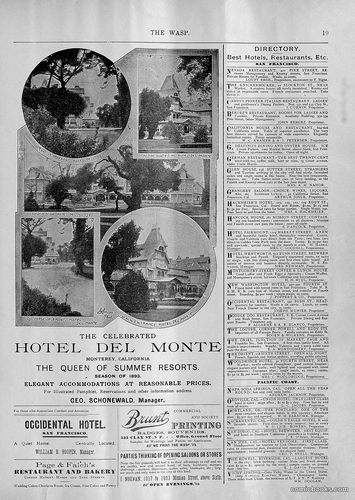 The Wasp — 1894 — page 110 of 552