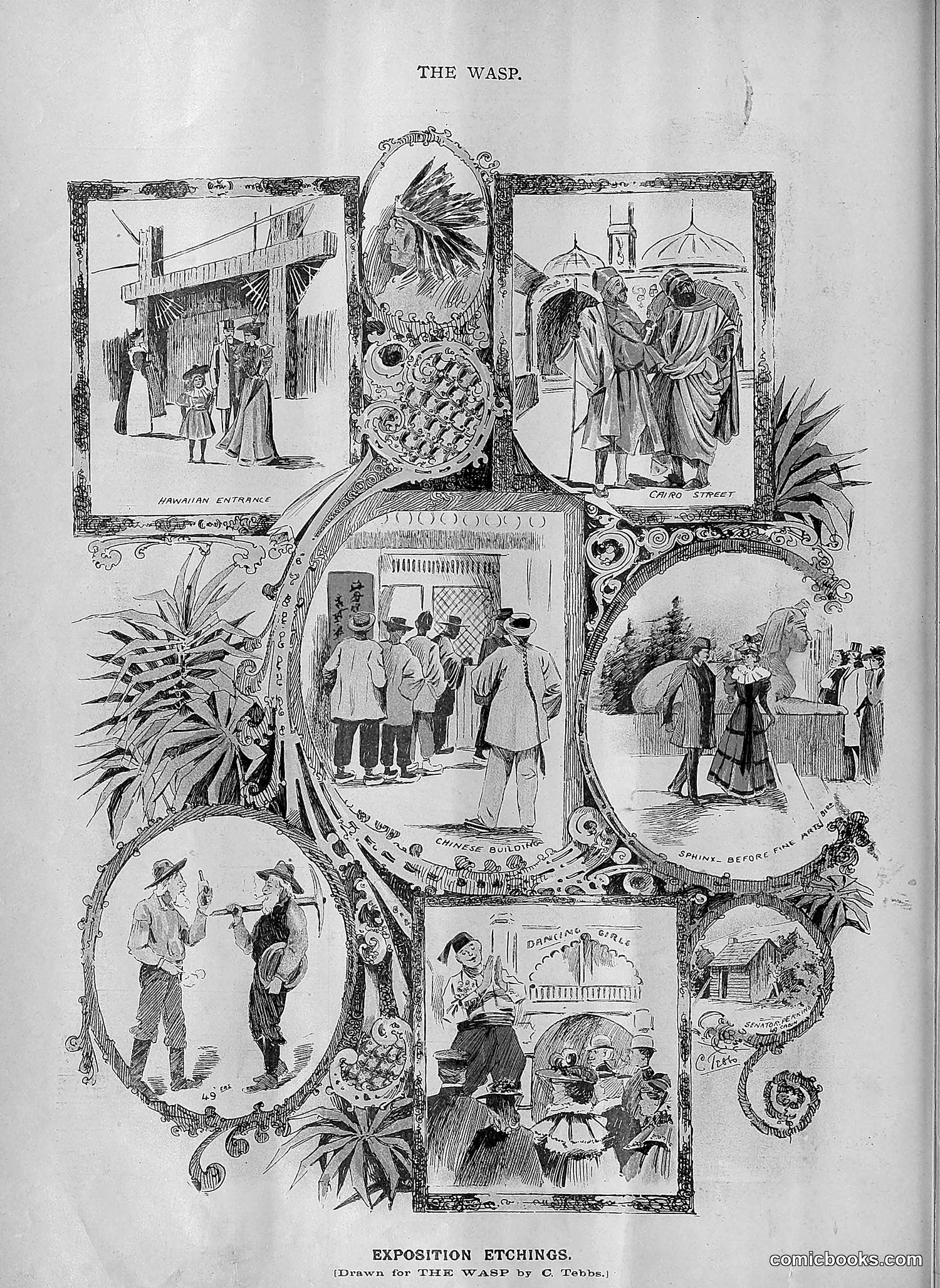 The Wasp — 1894 — page 111 of 552