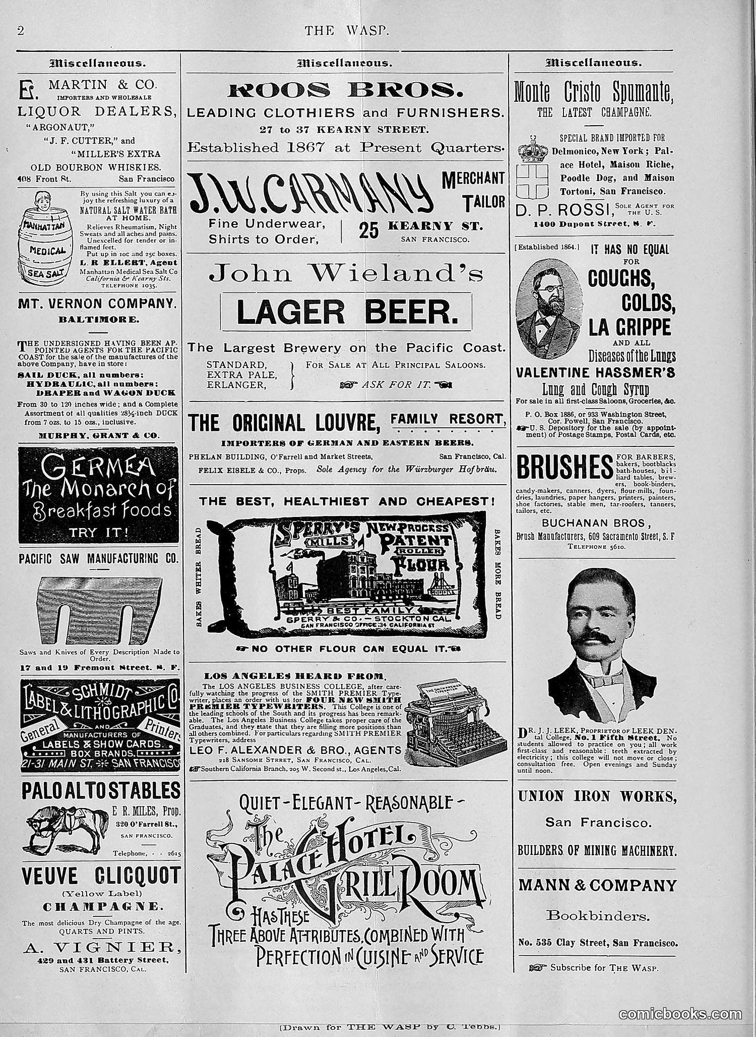 The Wasp — 1894 — page 113 of 552