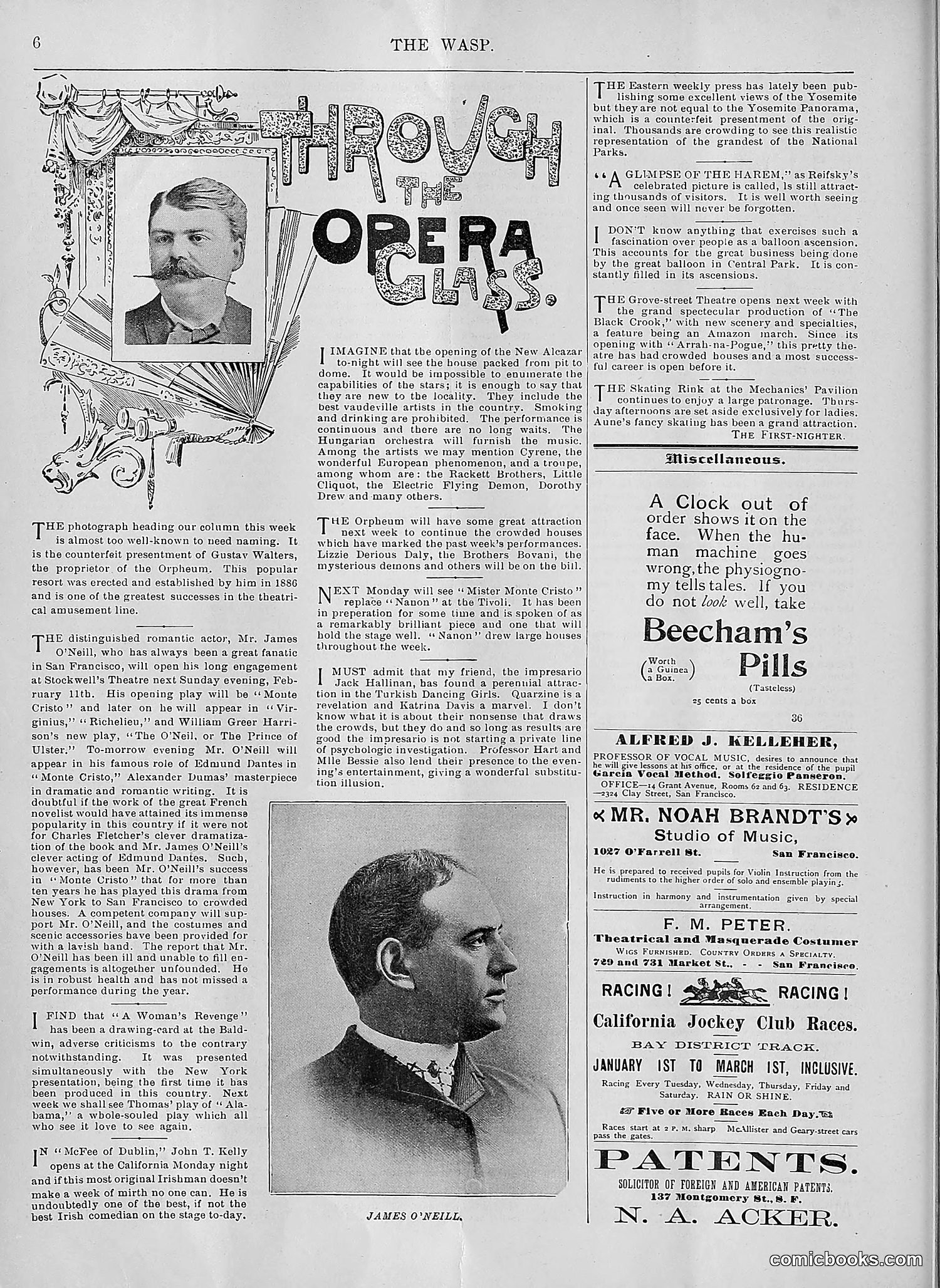 The Wasp — 1894 — page 117 of 552