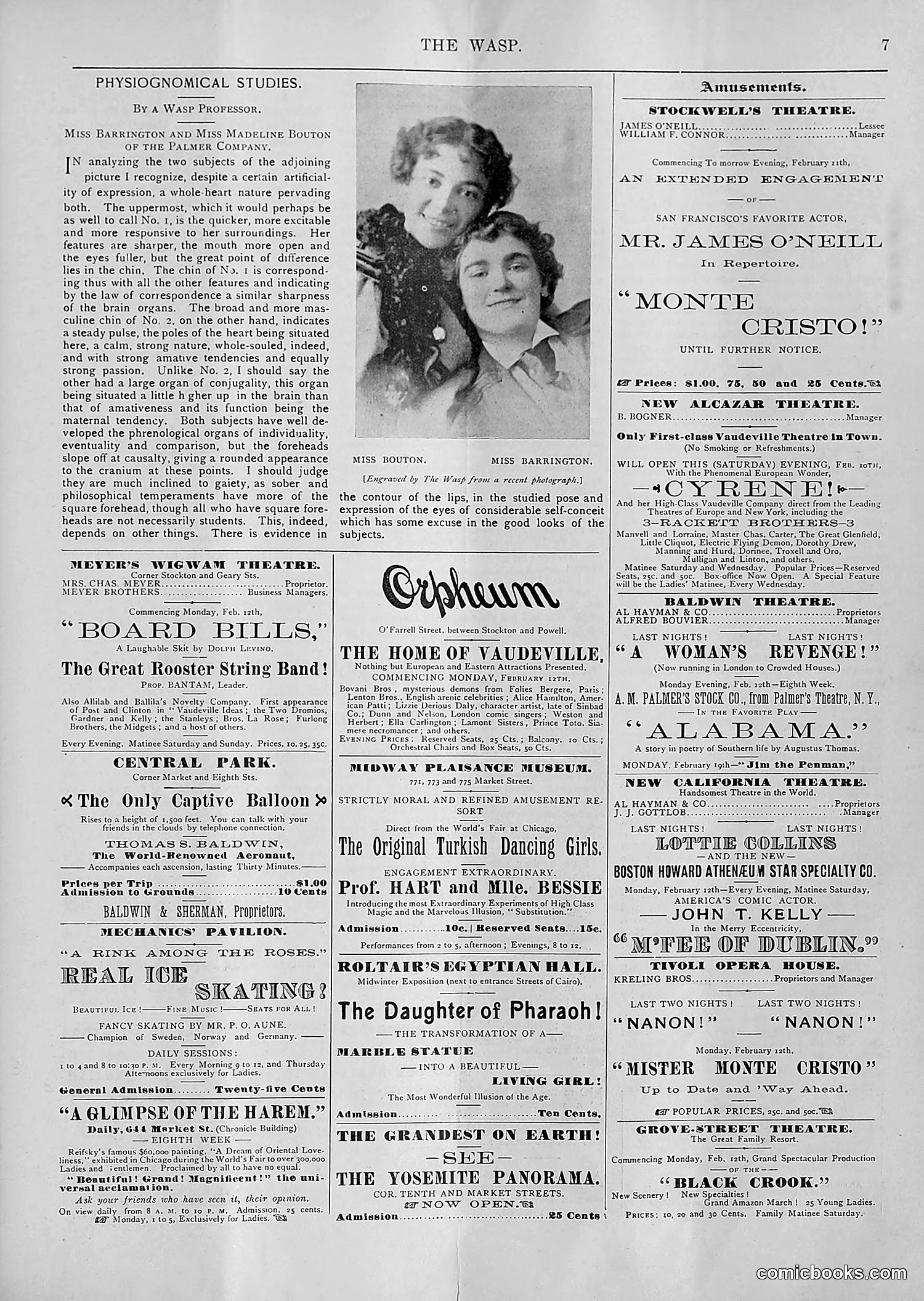 The Wasp — 1894 — page 118 of 552
