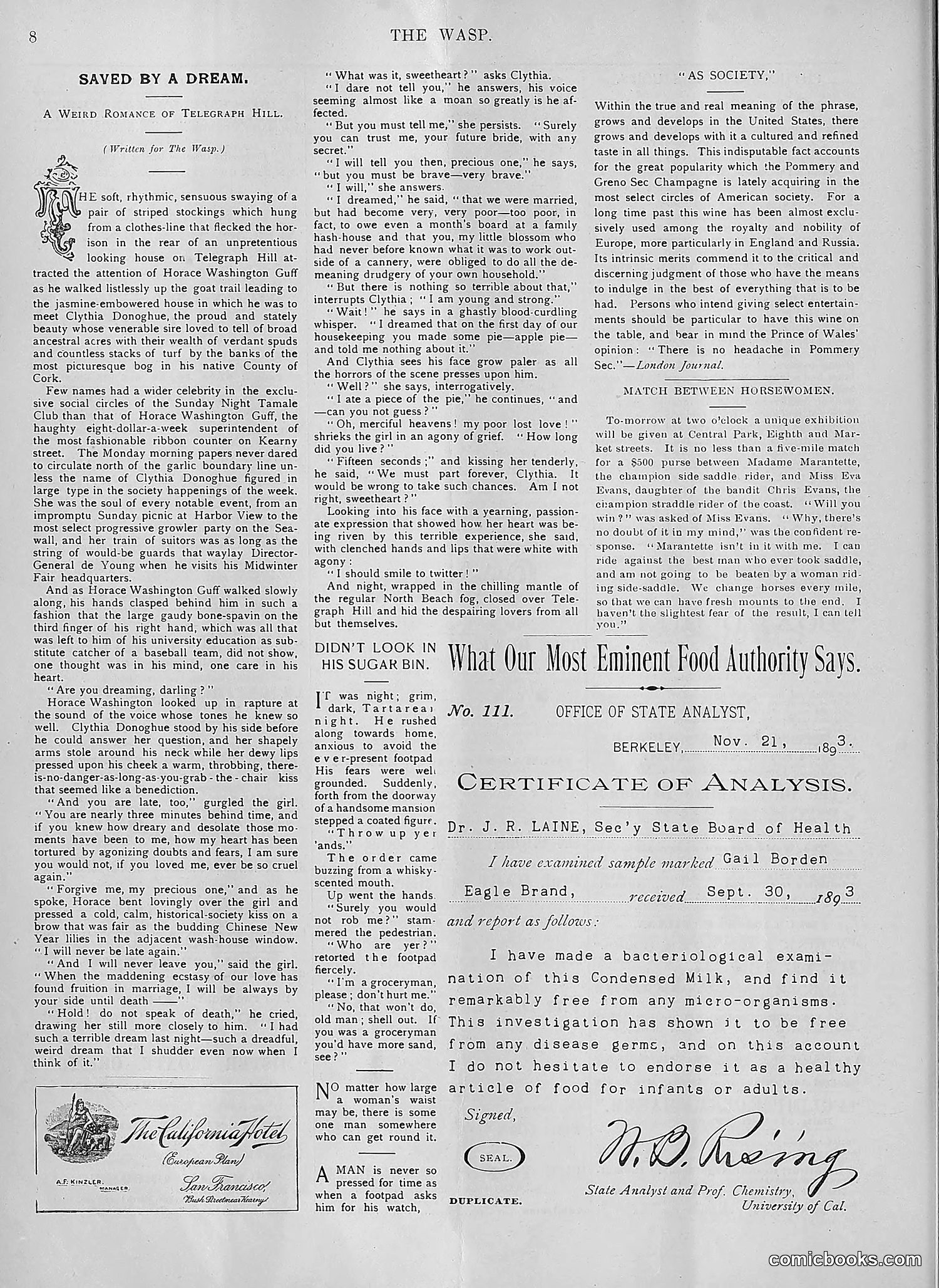 The Wasp — 1894 — page 119 of 552