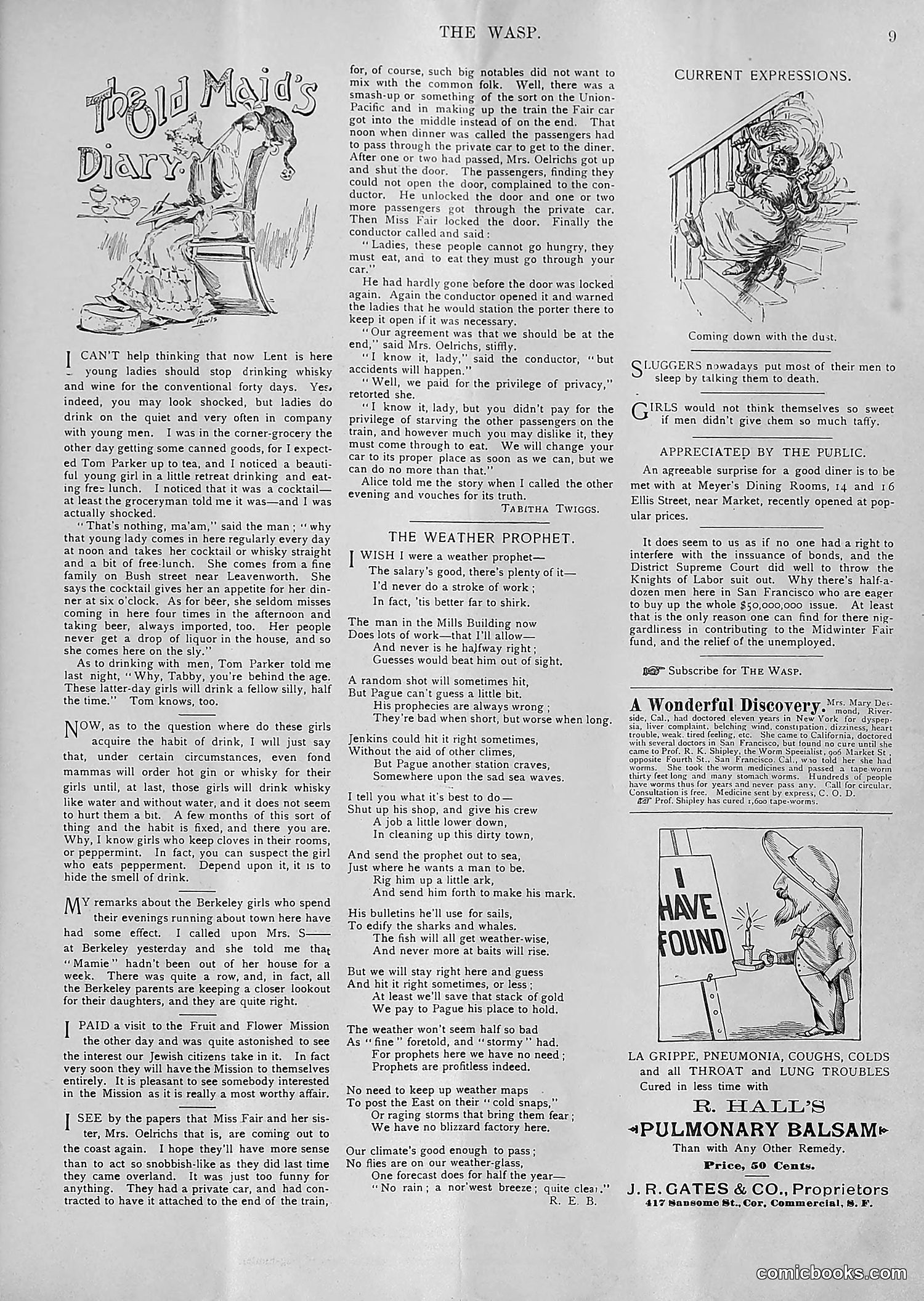 The Wasp — 1894 — page 120 of 552