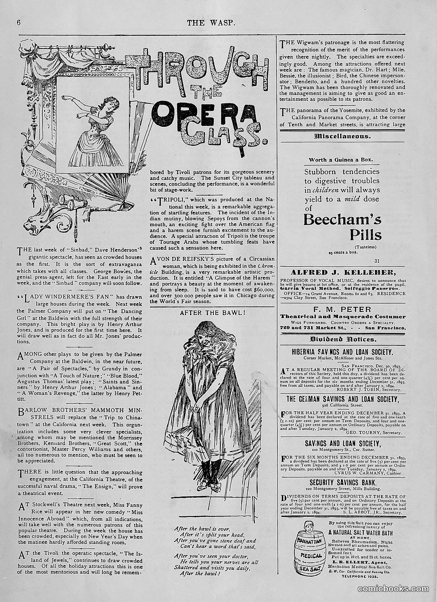The Wasp — 1894 — page 13 of 552