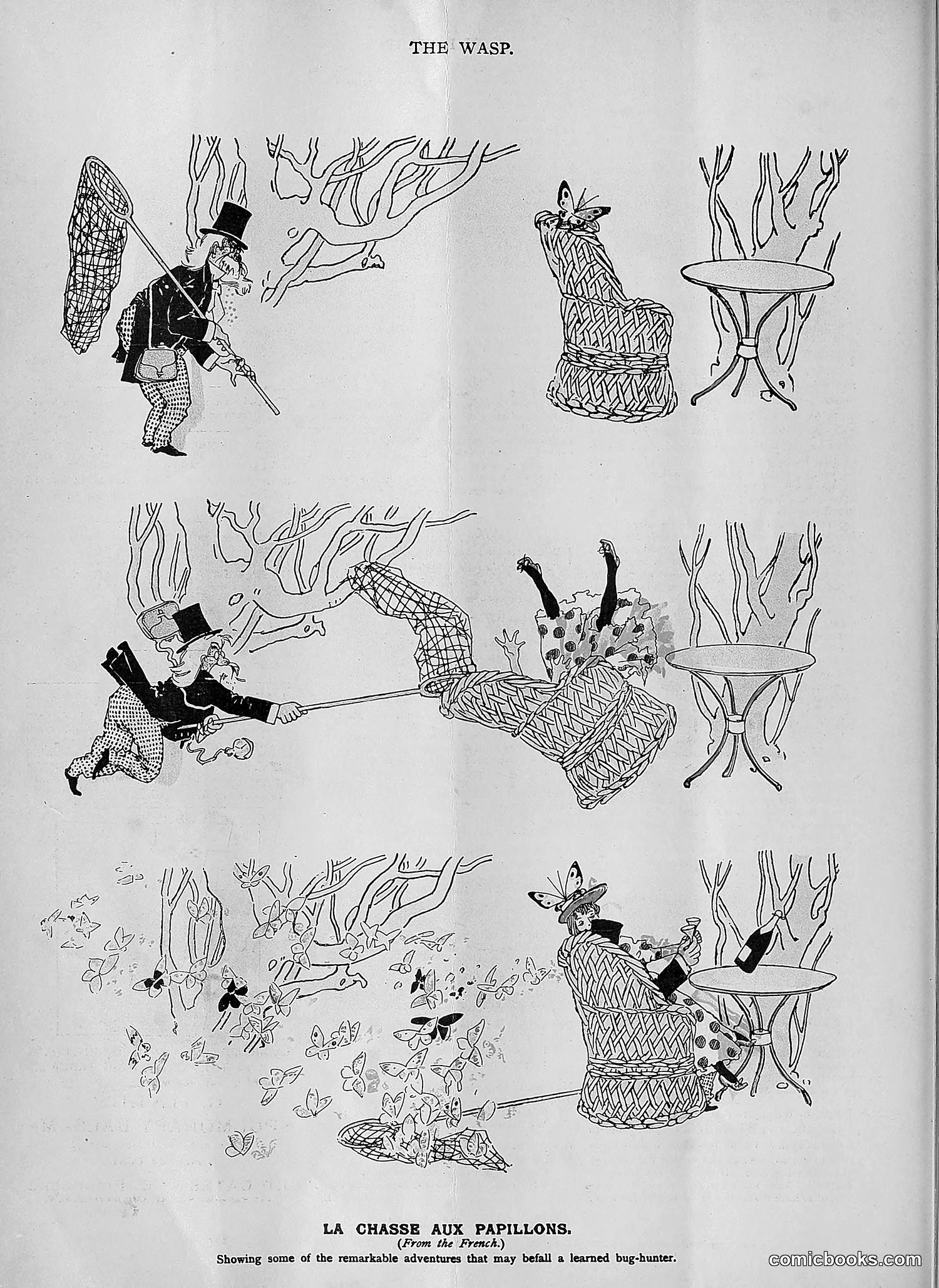 The Wasp — 1894 — page 121 of 552
